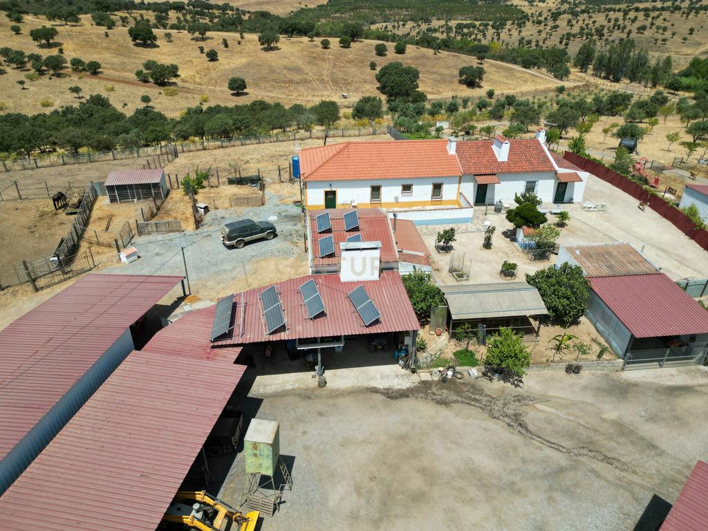 Herdade de 62 Hectares no Coração do Alentejo – Évora - Agricultura - Pecuária - Turismo Rural - Painéis Solares - Image 30