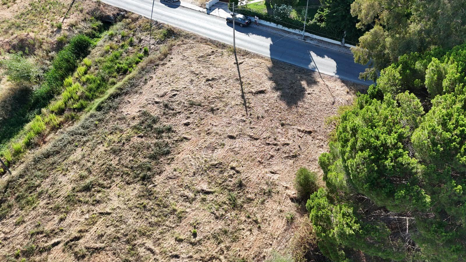Fotografia 12 de Terreno Urbano de Grande Dimensão | 3.000 m² | Entroncamento