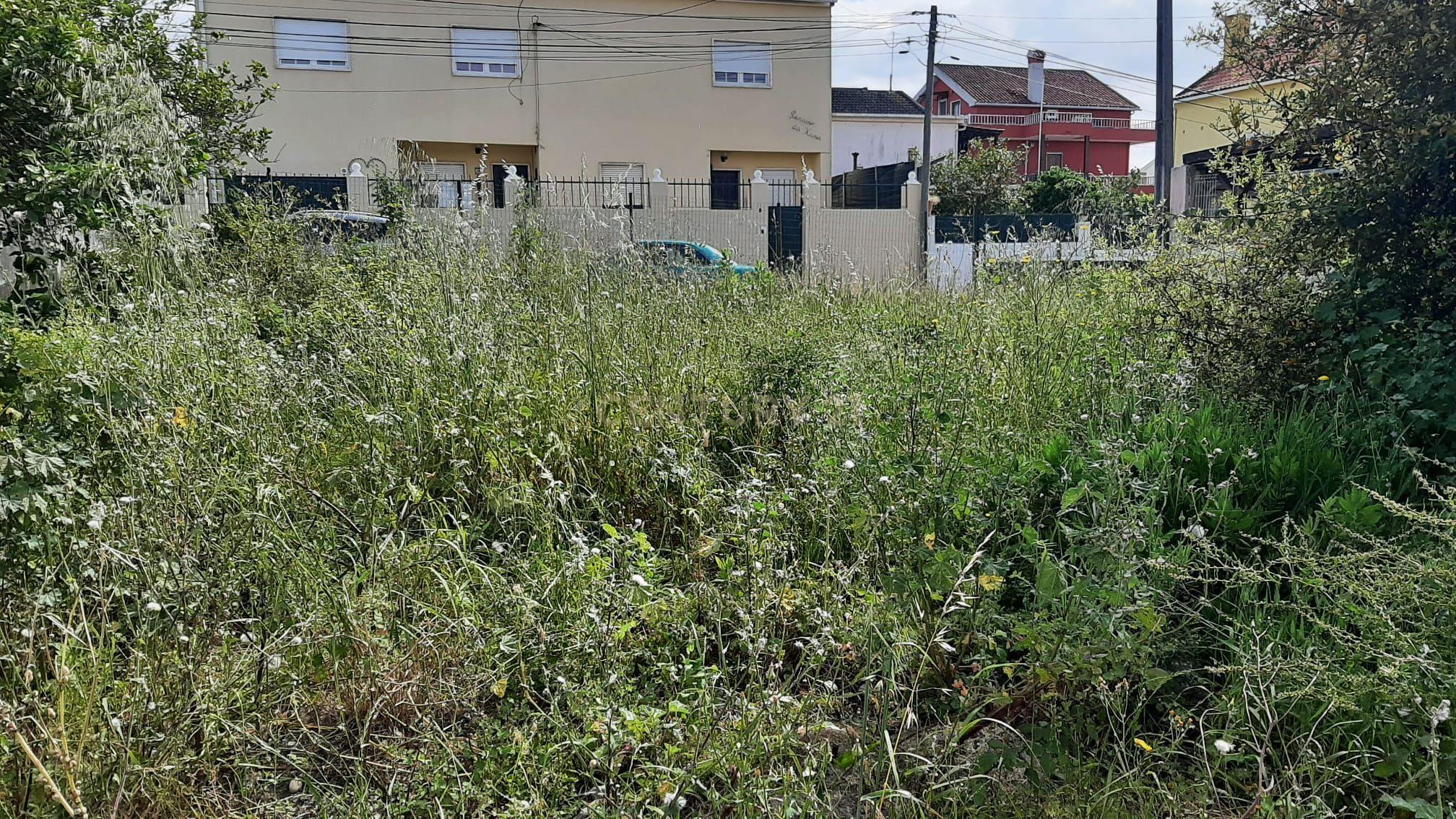 Terreno Urbano nas Quintinhas 600m2 duas frentes de estrada, ótima localização - Image 3