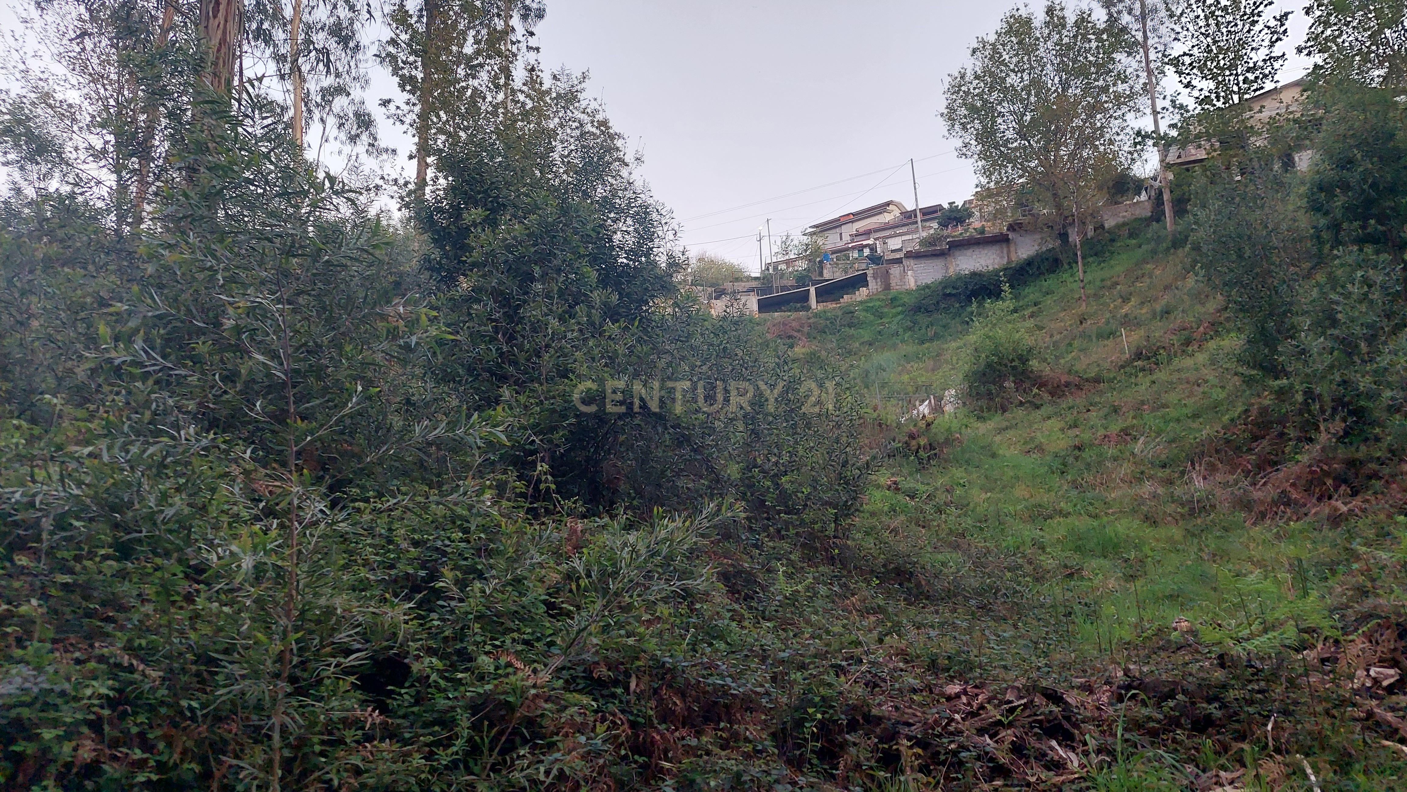 Terreno Rustico em Crestuma, Vila Nova de Gaia - Image 6