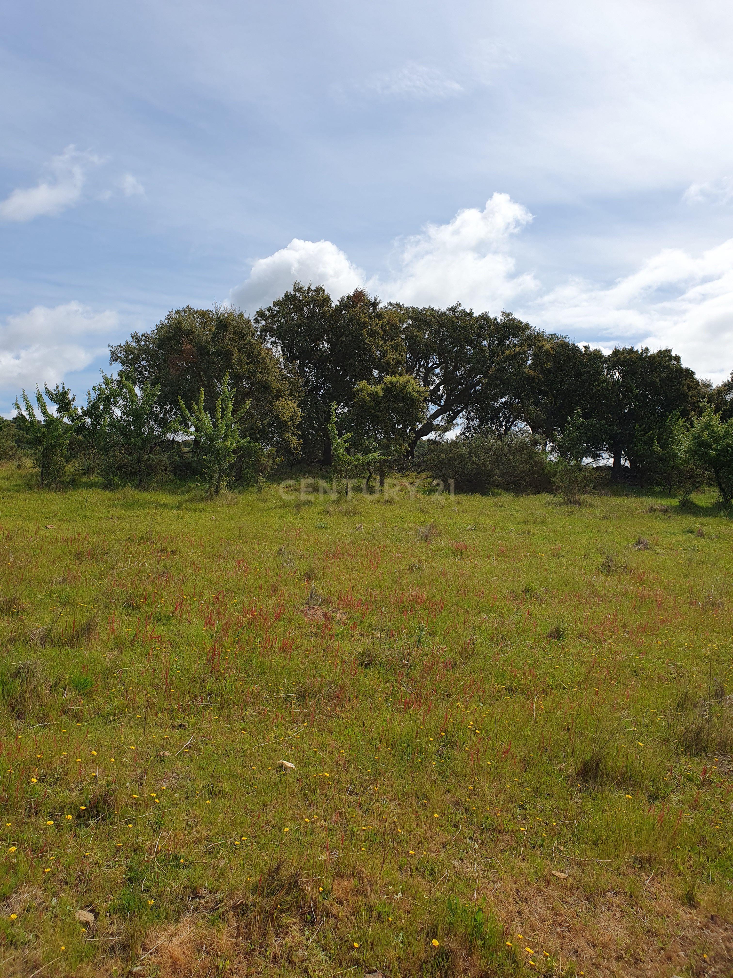 Fotografia 11 de Terreno Urbano na Serra D`Ossa Redondo
