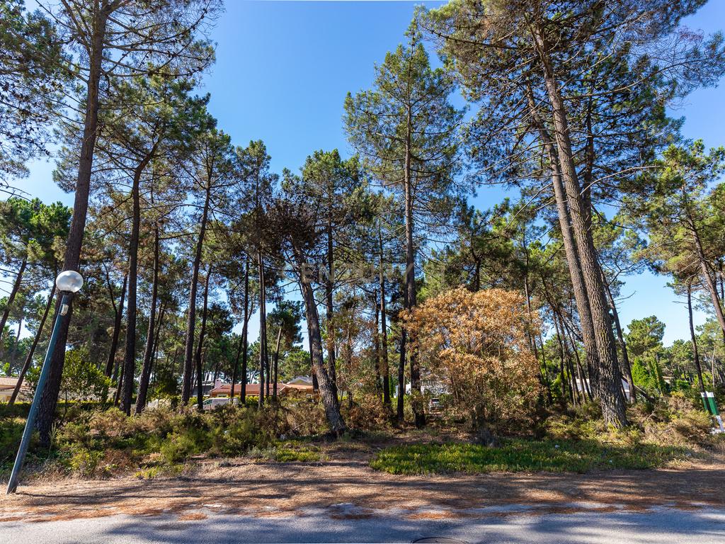 Terreno para Moradia de Luxo com Piscina e Jardim na Herdade da Aroreira - Image 16