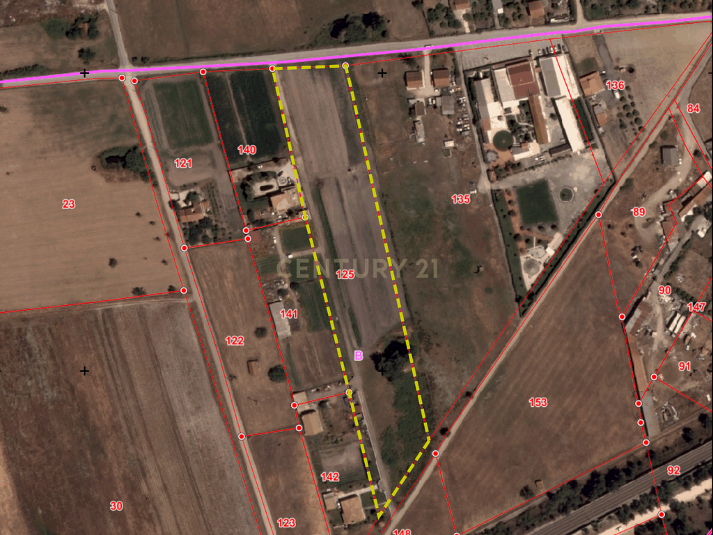 Lote de Terreno Rustico | 15.200m2 | Quinta do Anjo - Image 11