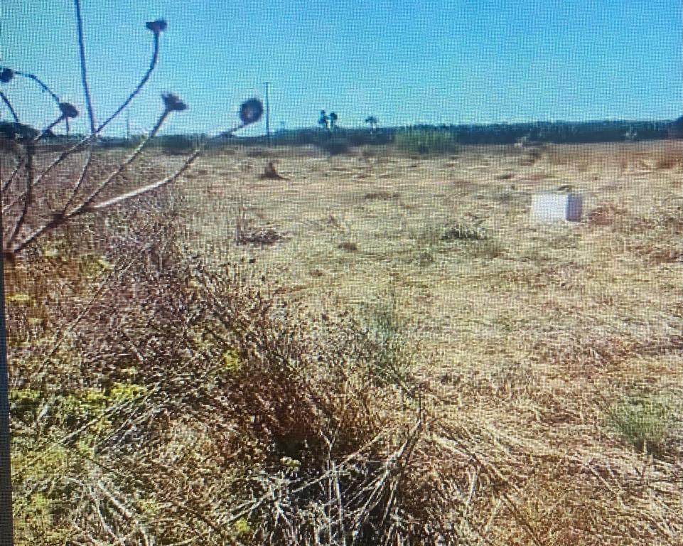 Terreno Rústico no Ludo, Almancil – 8.400 m² Próximo da Quinta do Lago - Image 7