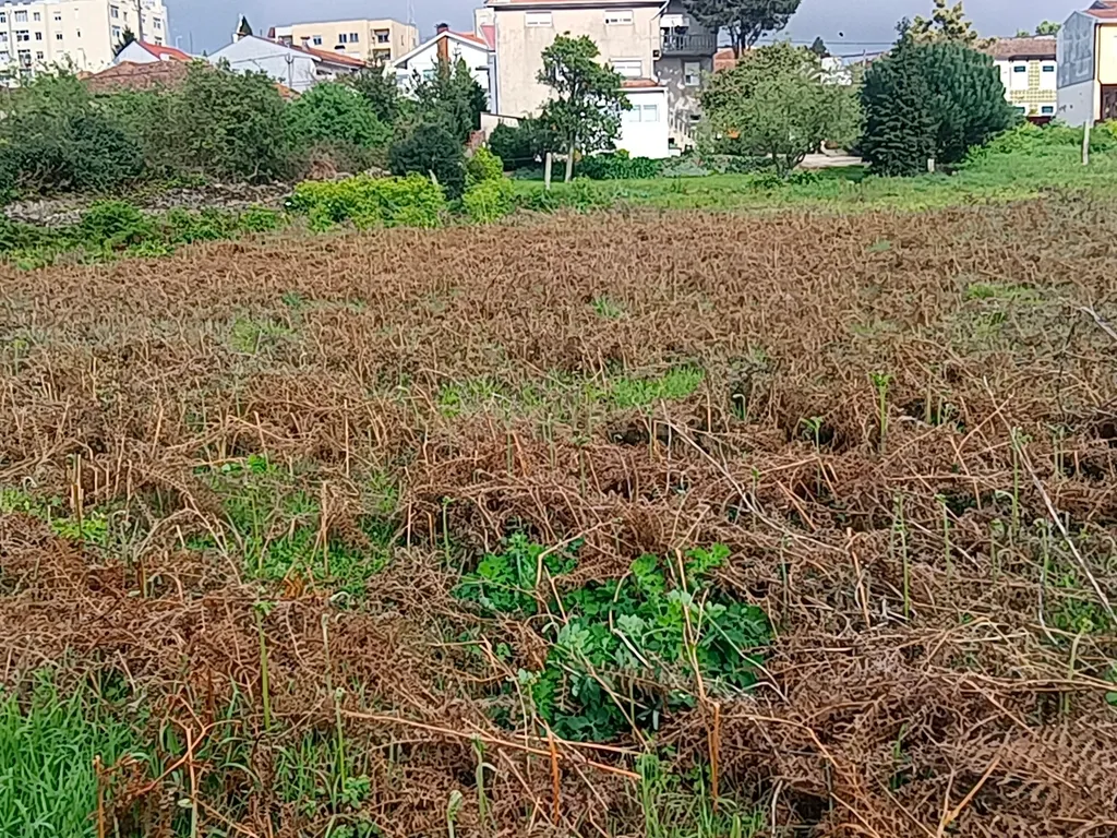 Terreno para construção - Image 9