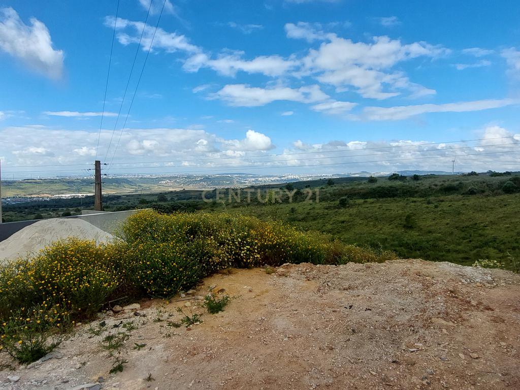 TERRENO PARA CONSTRUÇÃO - FONTE SANTA, VIALONGA - Image 4