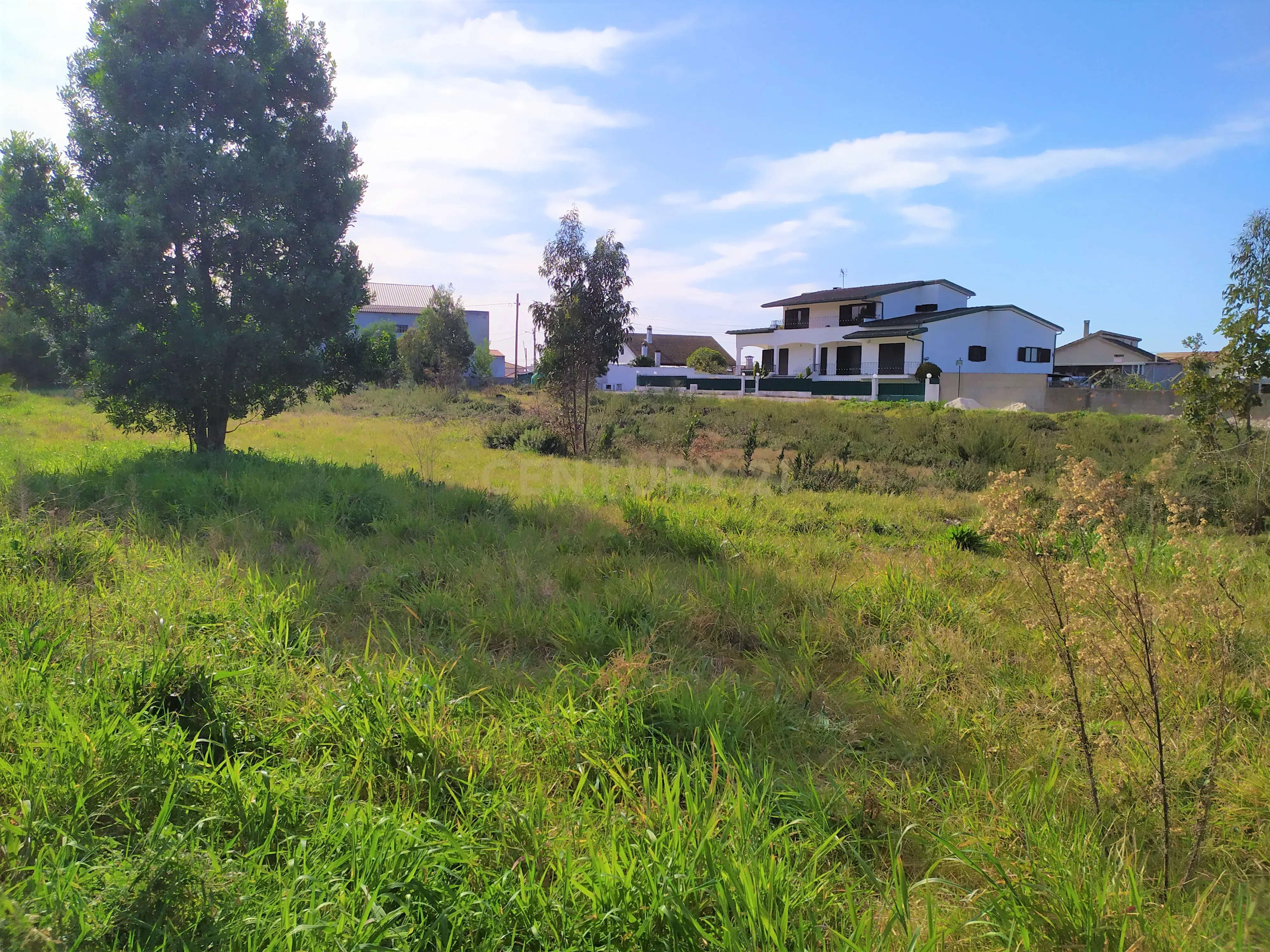Terreno | Viabilidade Construção| Marinha Grande - Image 7