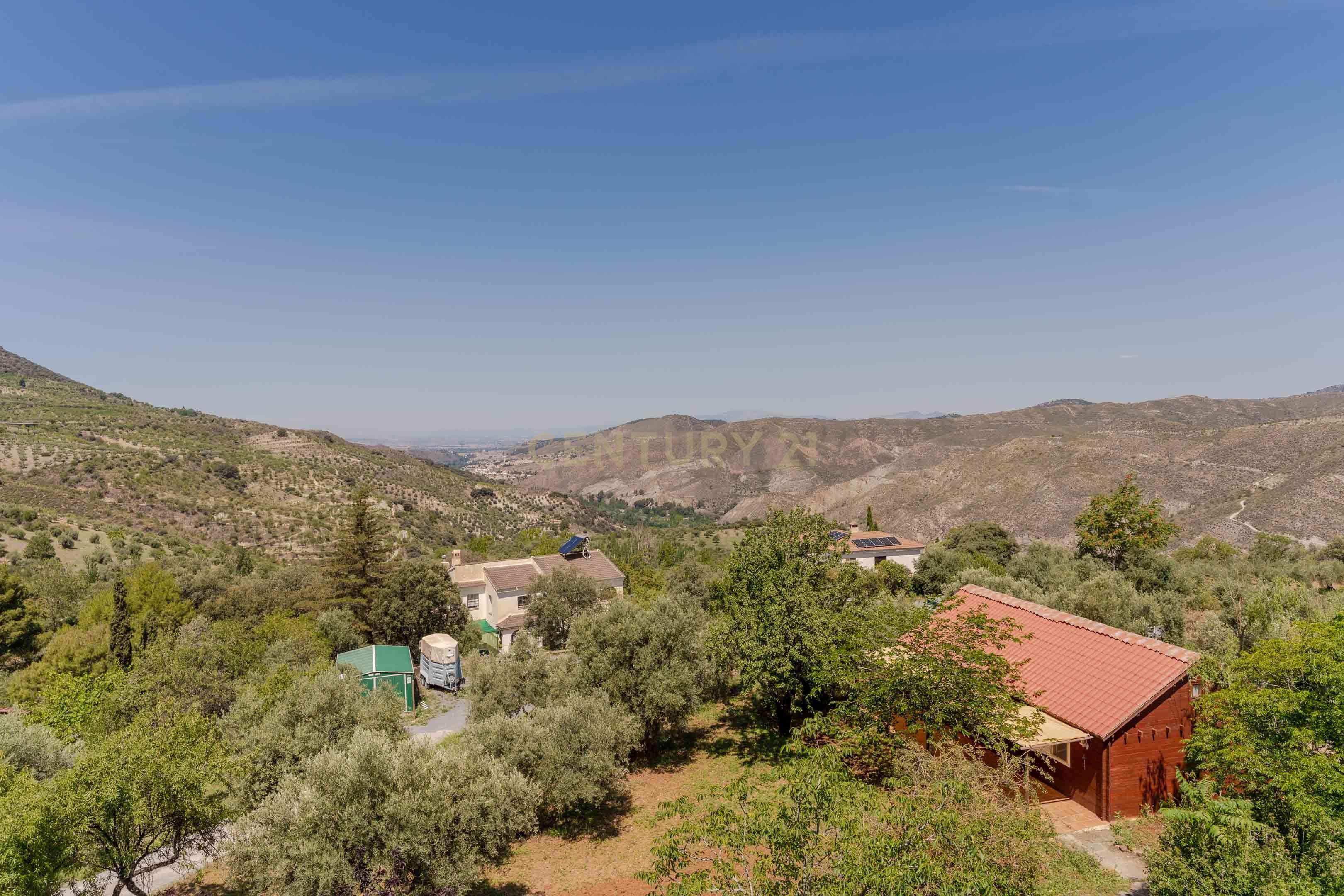 undefined - Image 6