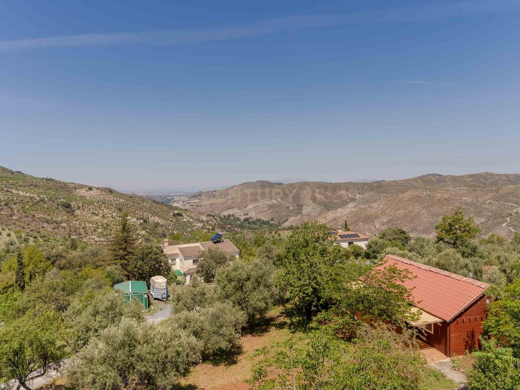 undefined - Image 6