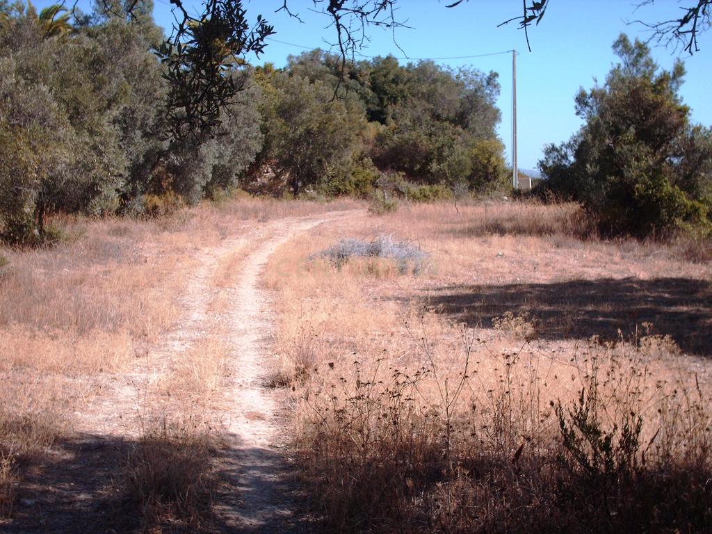 Terreno vista mar - Image 1