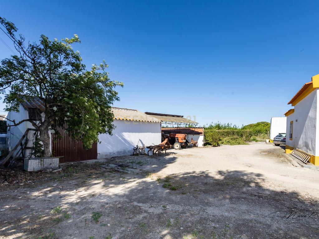 Quinta com Moradia T9 - Santo Isidro de Pegões - Montijo - Image 9
