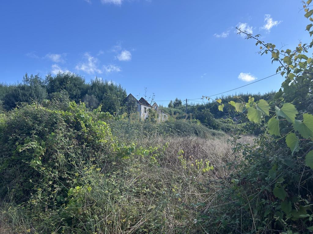 Quinta com Ruína - Oportunidade de Negócio - Image 11