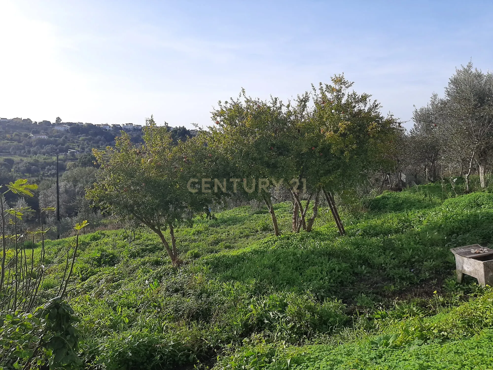 Moradia T4 à venda em Carvalhal, Abrantes — foto 5