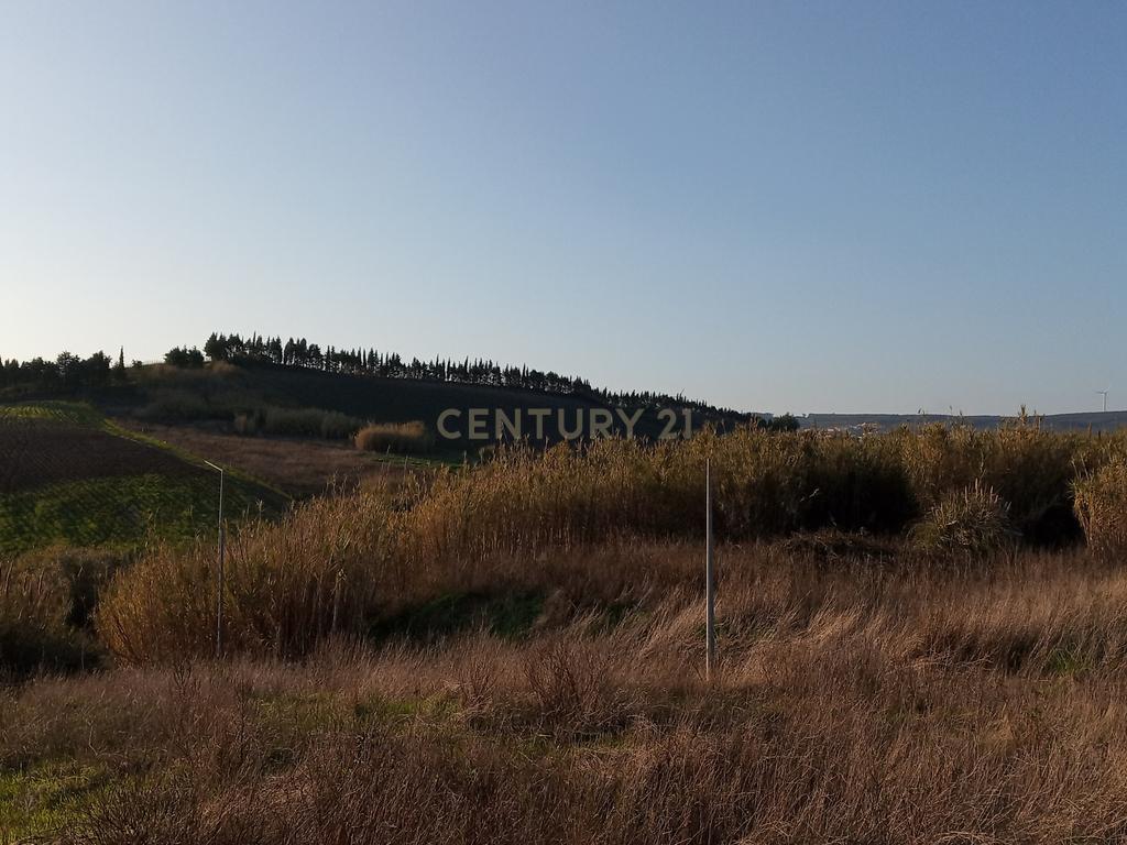 Terreno Urbano para construção - Aldeia da Merceana - Alenquer - Image 8