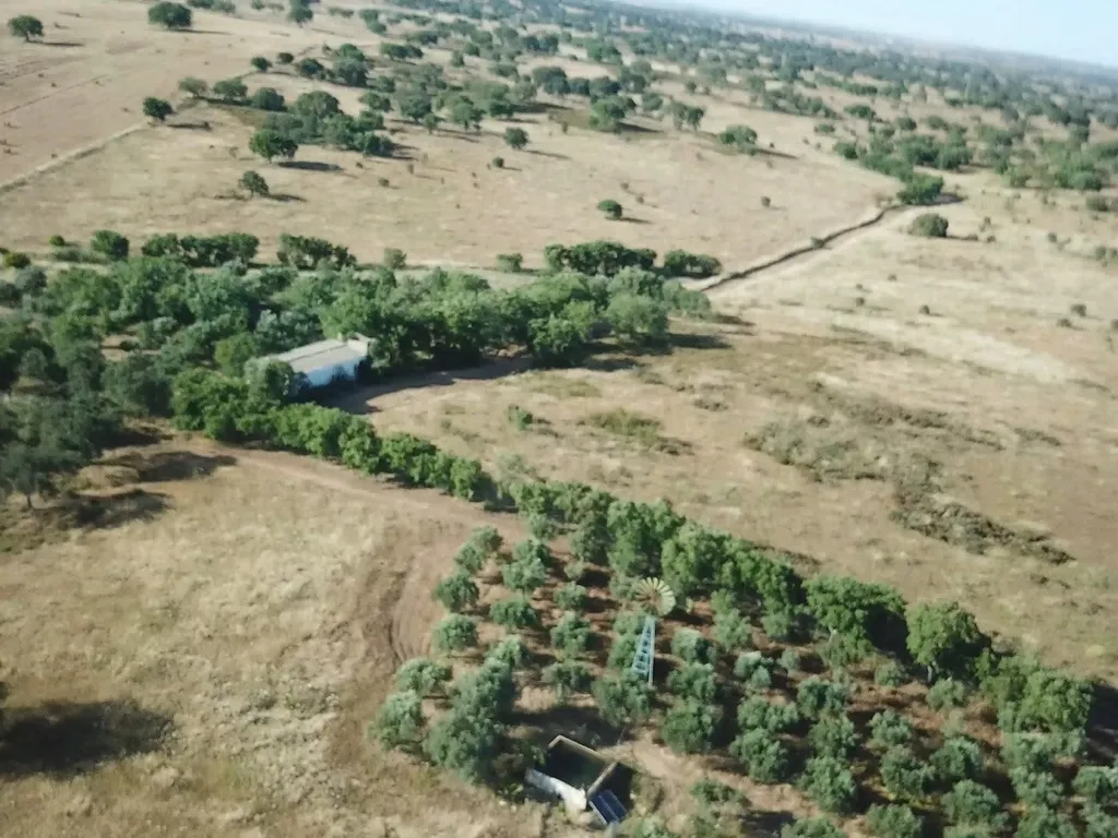 Propriedade com mais de 18 hectares de terreno rústico, localizado no Baixo Alentejo, concelho de Almodôvar - Image 13