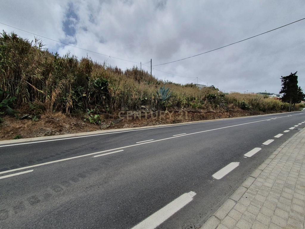 undefined - Image 5