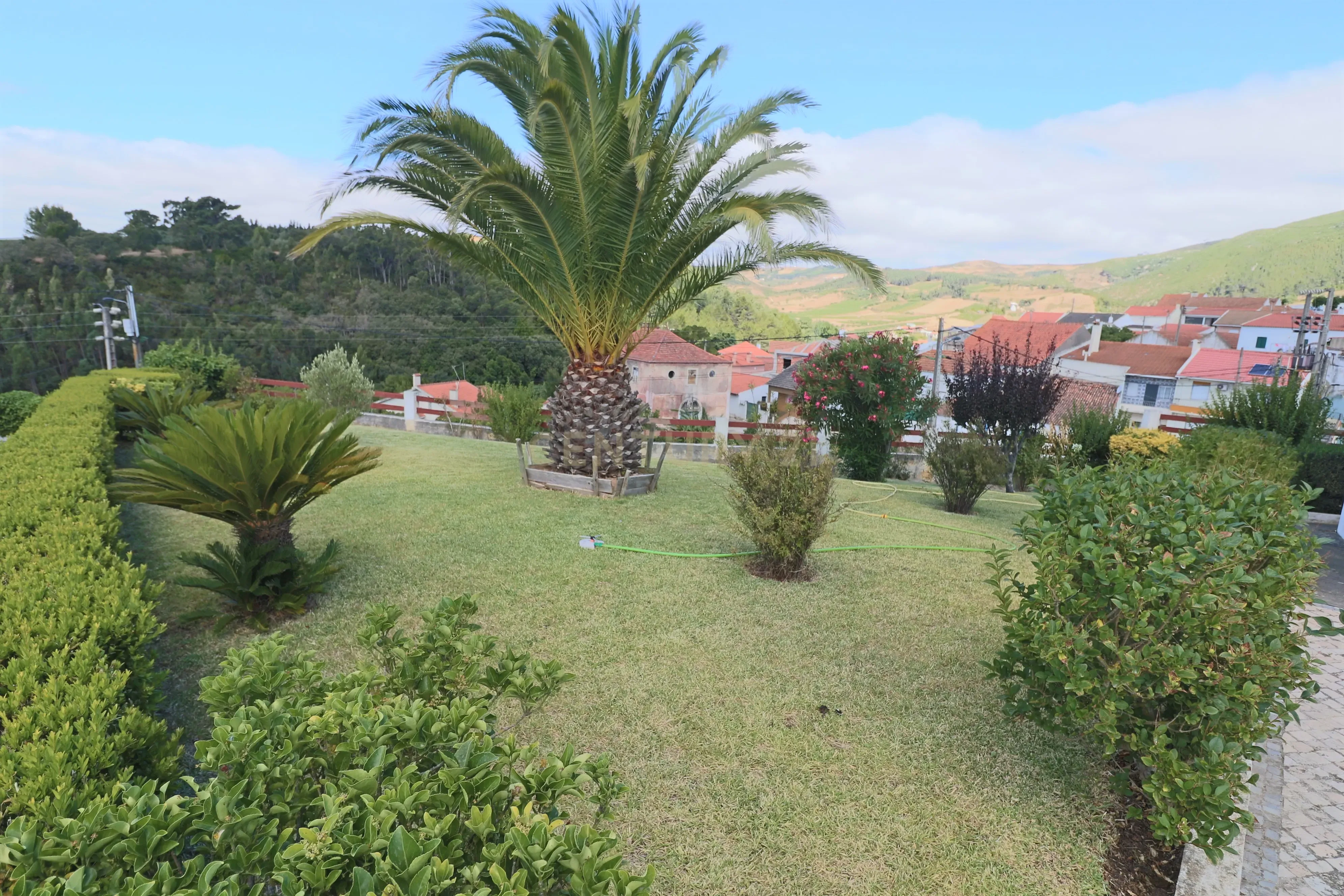 Fantástica Quintinha com 3 Casas de Habitação - Image 11