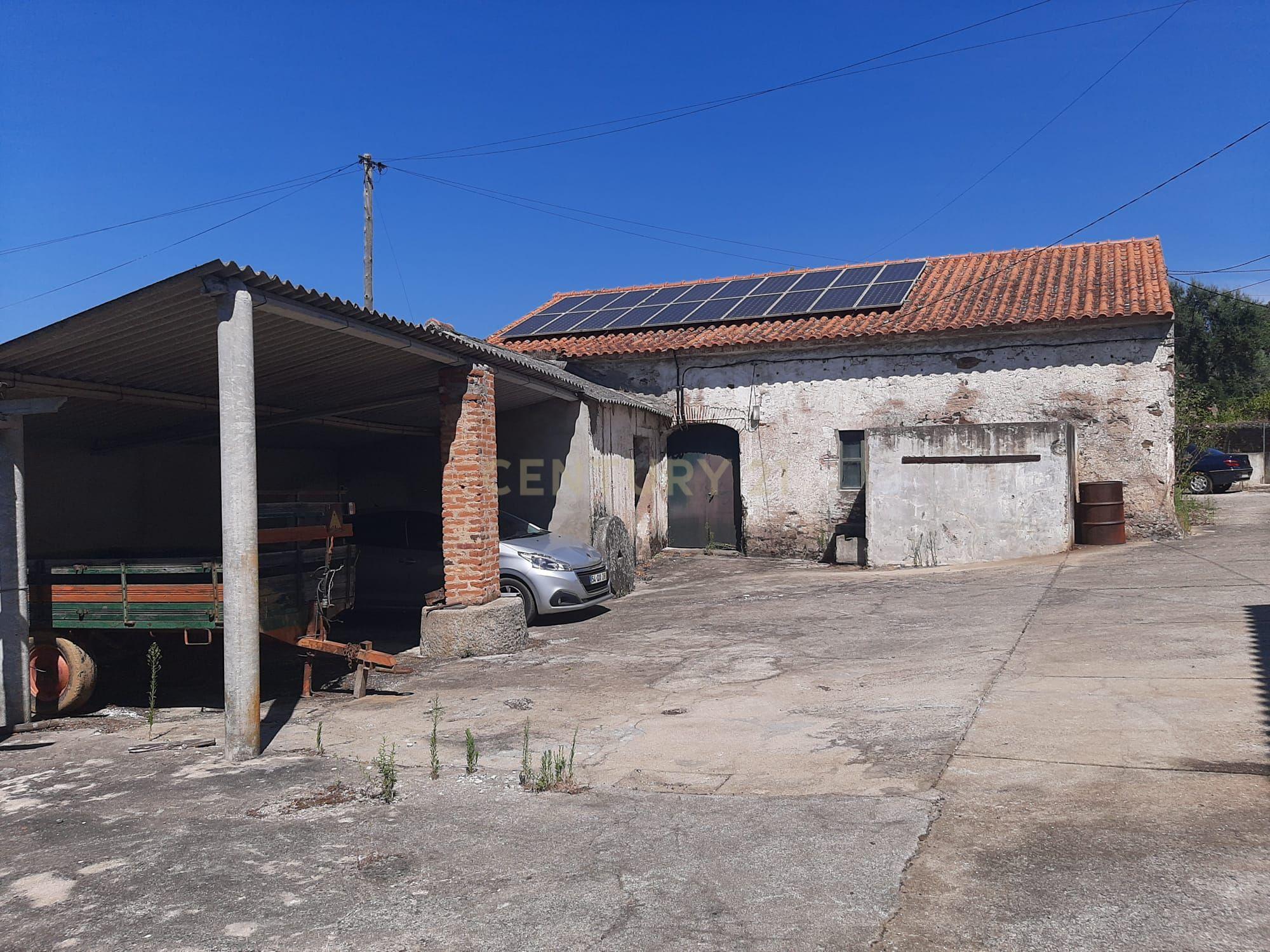 Quintinha com moradia de 10 assoalhadas e anexos, lote de 19.060m2, Mouriscas, Abrantes - Image 10