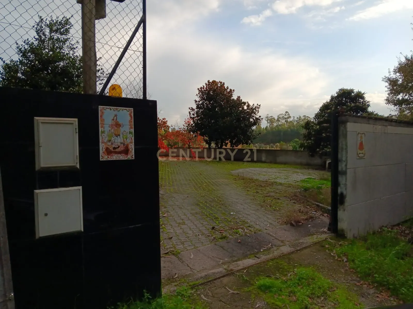 Quinta em Ribeira, Campo de Besteiros, Tondela. - Image 21