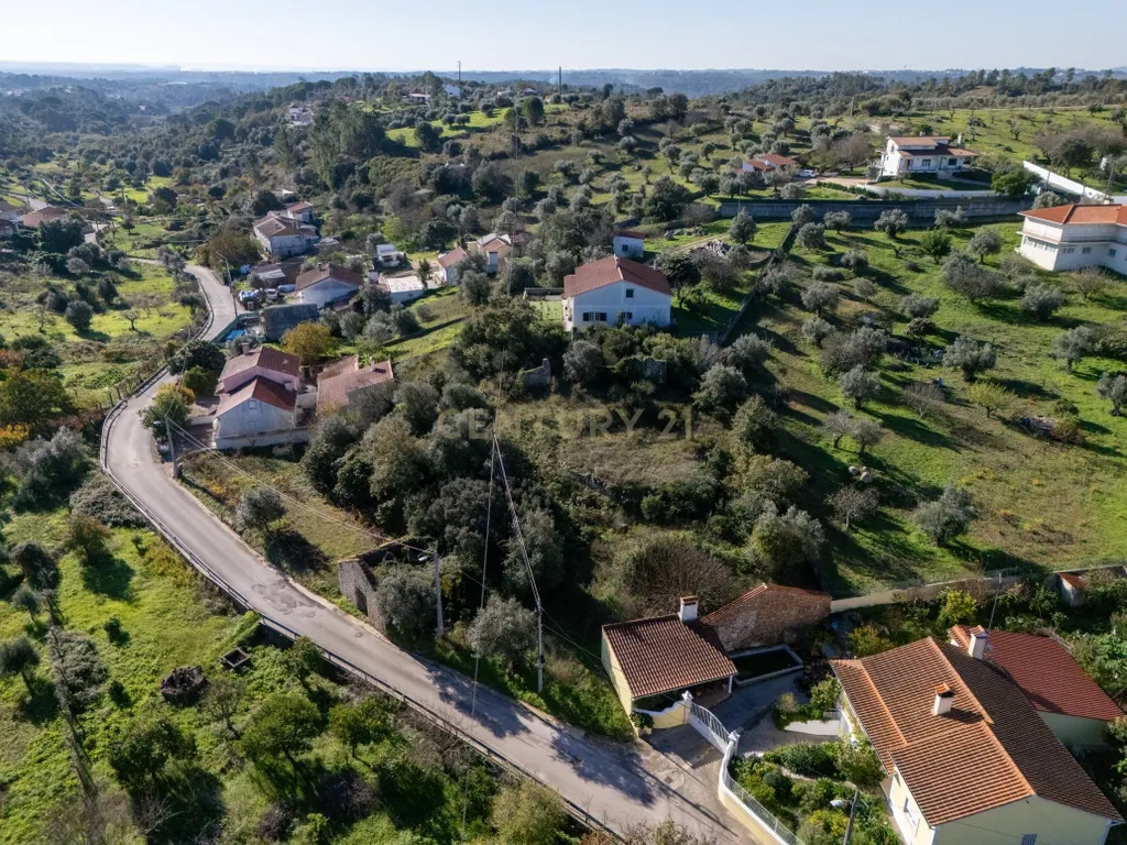 Terreno Urbano com Ruínas e Árvores de Fruto - 2.280m² - Longra, Tomar - Image 4