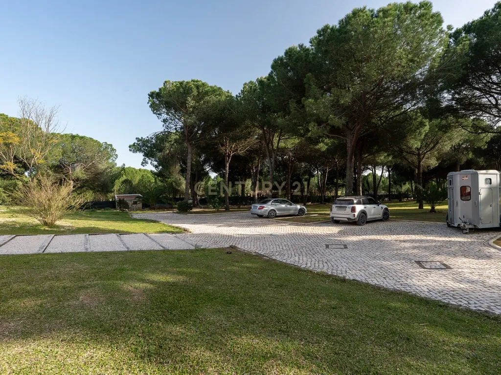 Fabulosa Quinta com lote de terreno de 22.381 m2, onde se encontra inserida uma moradia composta por dois pisos, com uma área bruta de 623 m2, uma área útil de 304 m2 e uma área bruta dependente de 319 m2, localizada em Santo Isidro de Pegões, na zona de Pegões, a pouca distância das belas praias de Setúbal. - Image 121