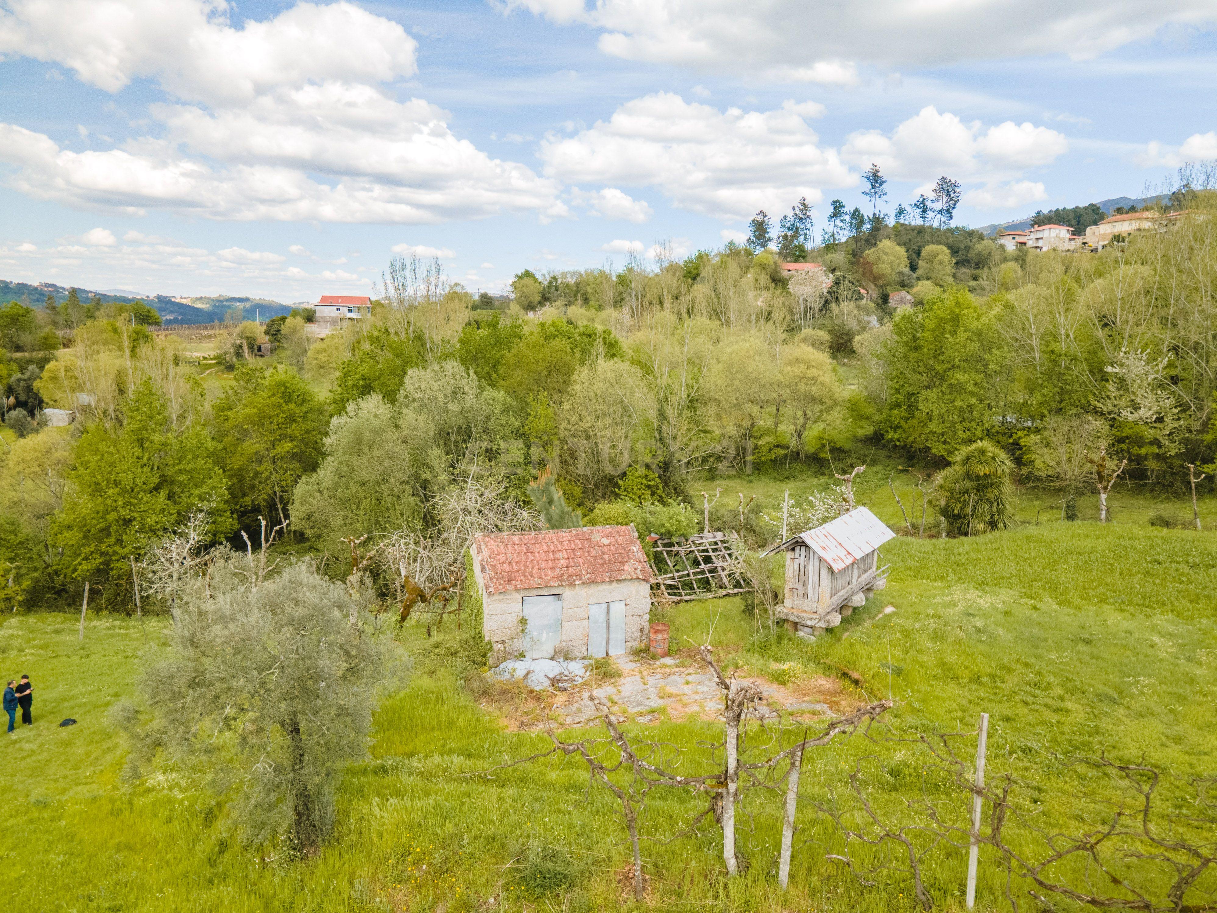 Terreno Rústico com cerca de 6.000 m² na Folhada, Marco de Canaveses - Image 2