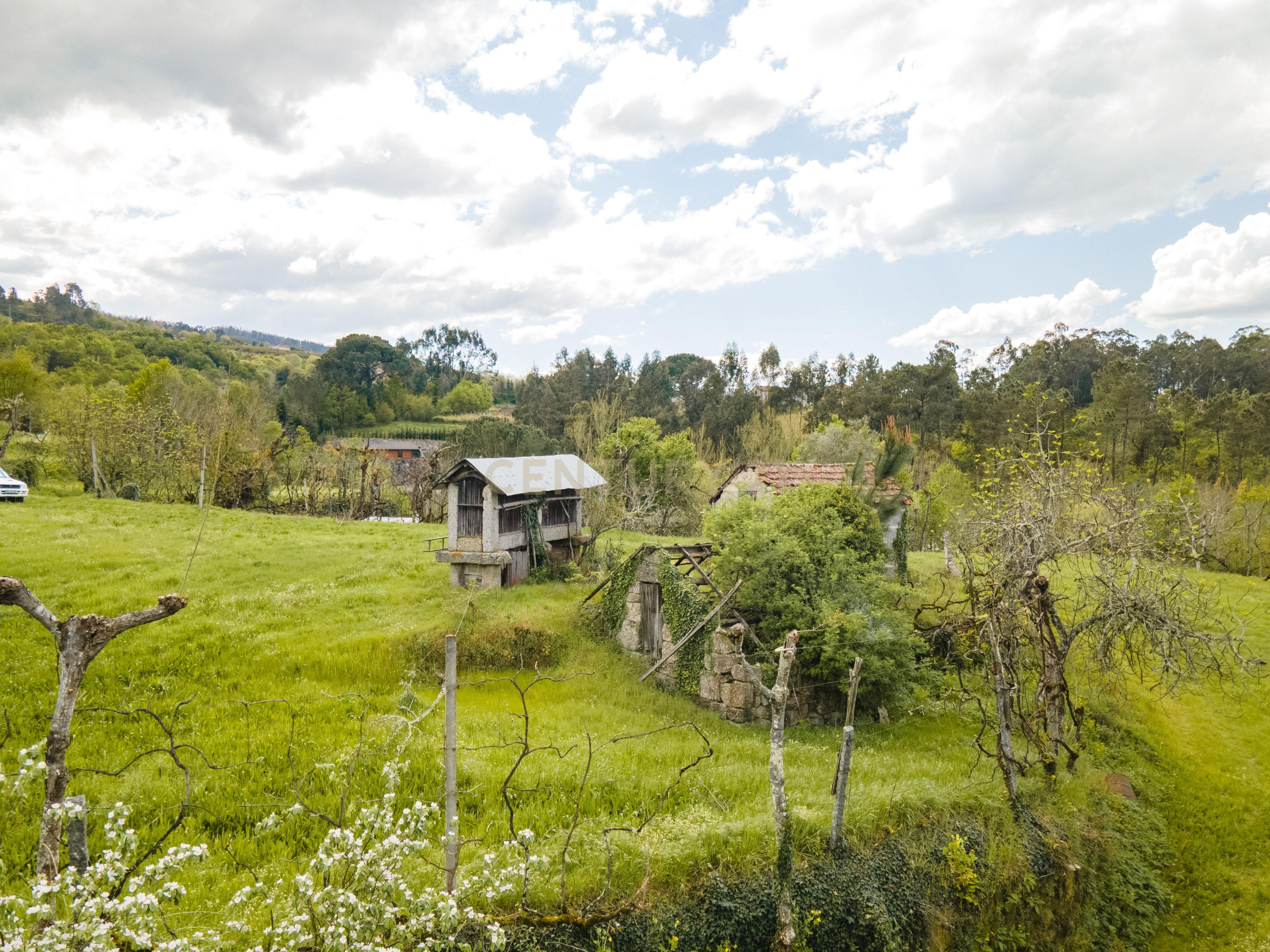 Terreno Rústico com cerca de 6.000 m² na Folhada, Marco de Canaveses - Image 3