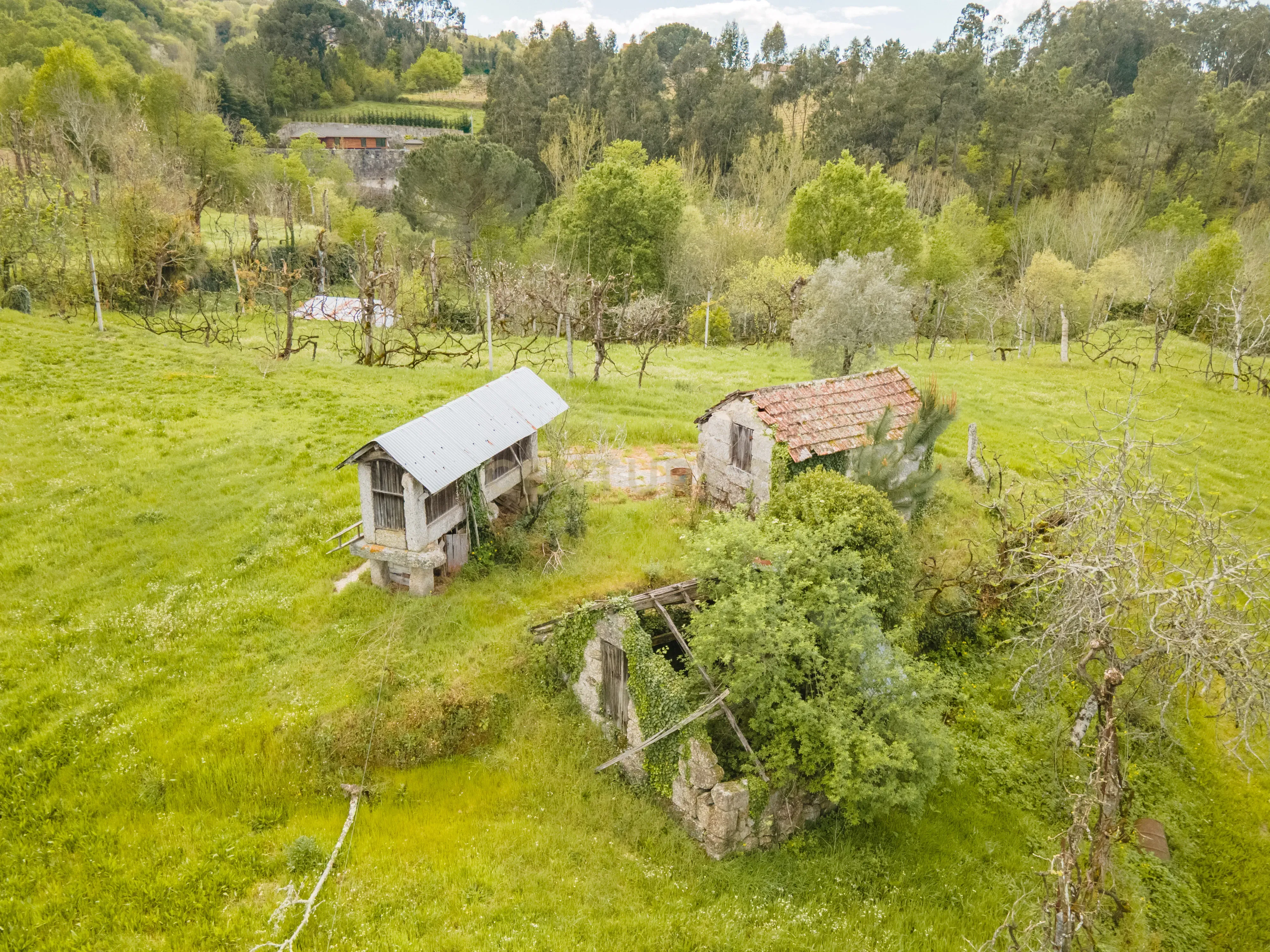 Terreno Rústico com cerca de 6.000 m² na Folhada, Marco de Canaveses - Image 1