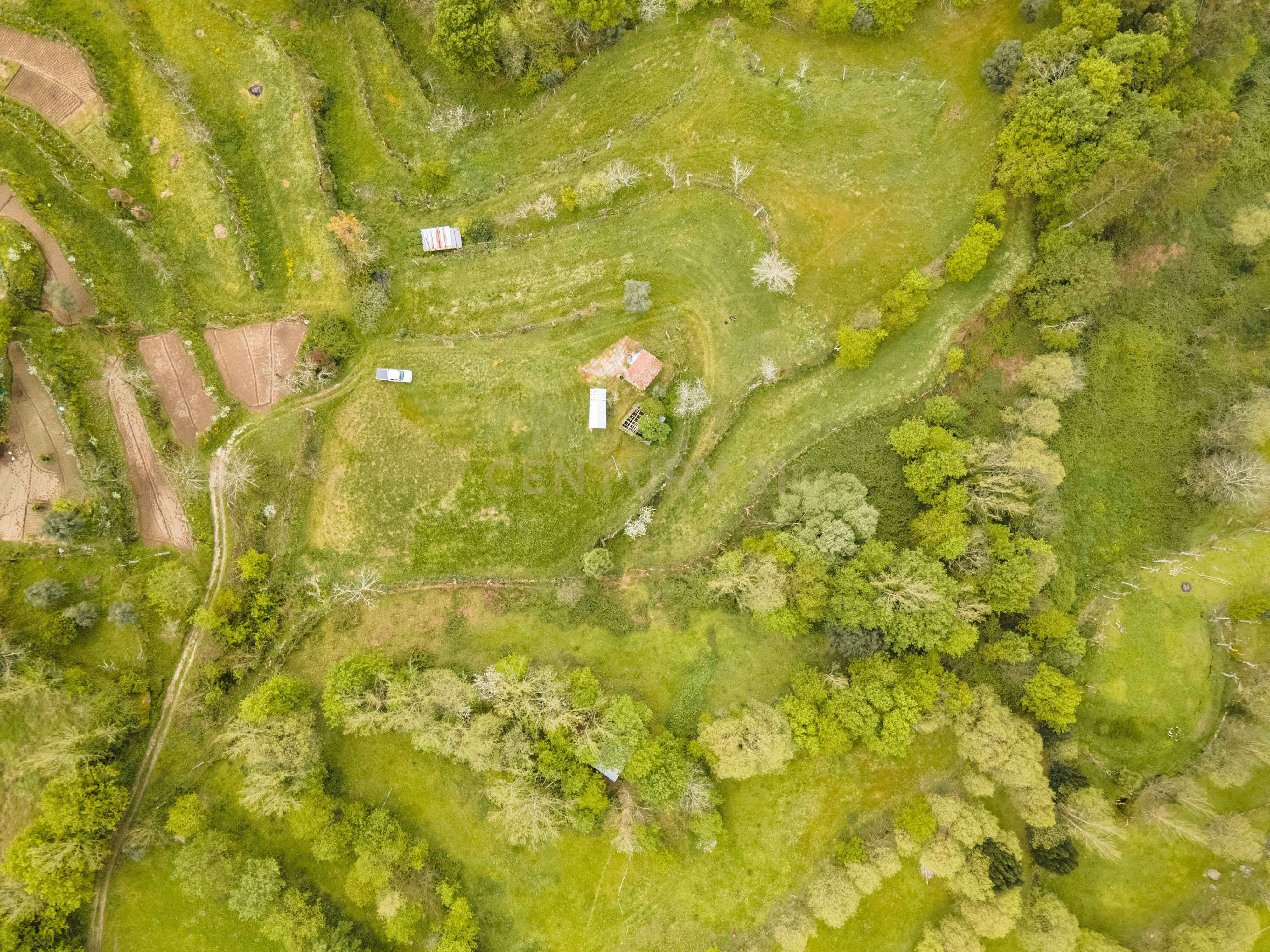 Terreno Rústico com cerca de 6.000 m² na Folhada, Marco de Canaveses - Image 9