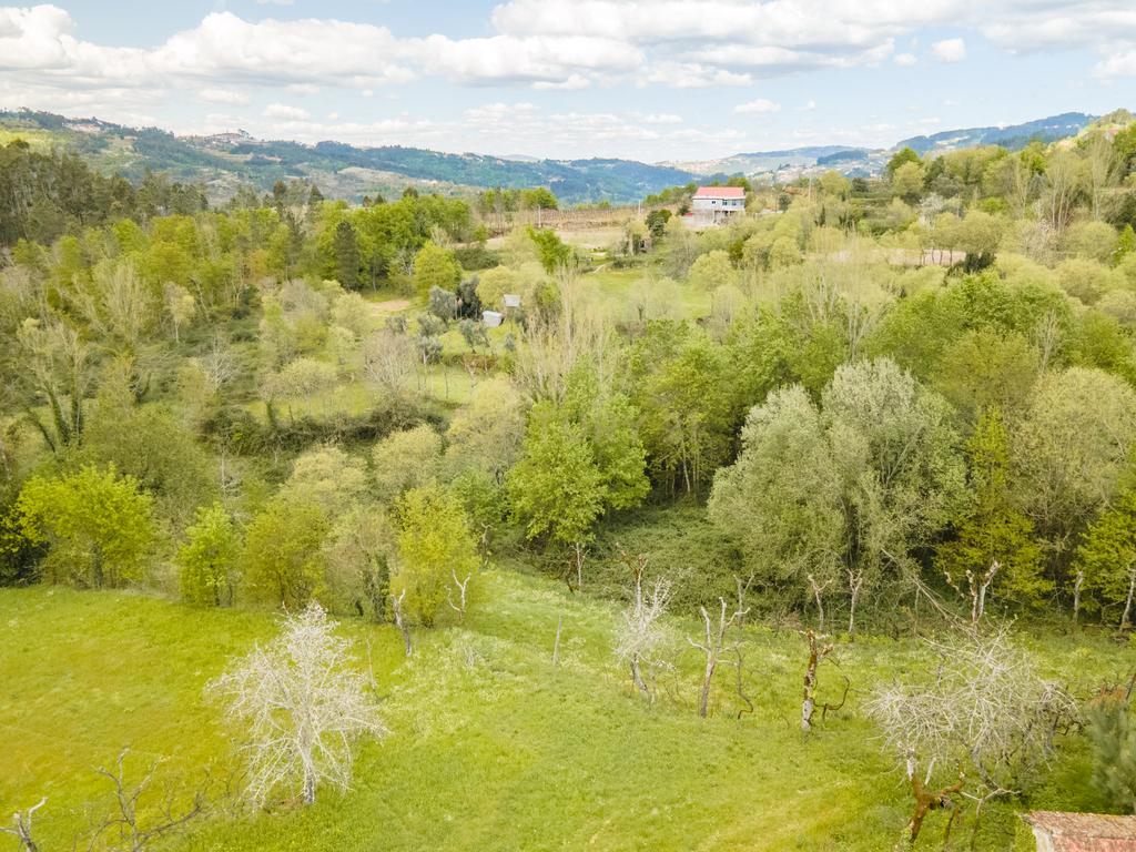 Terreno Rústico com cerca de 6.000 m² na Folhada, Marco de Canaveses - Image 7