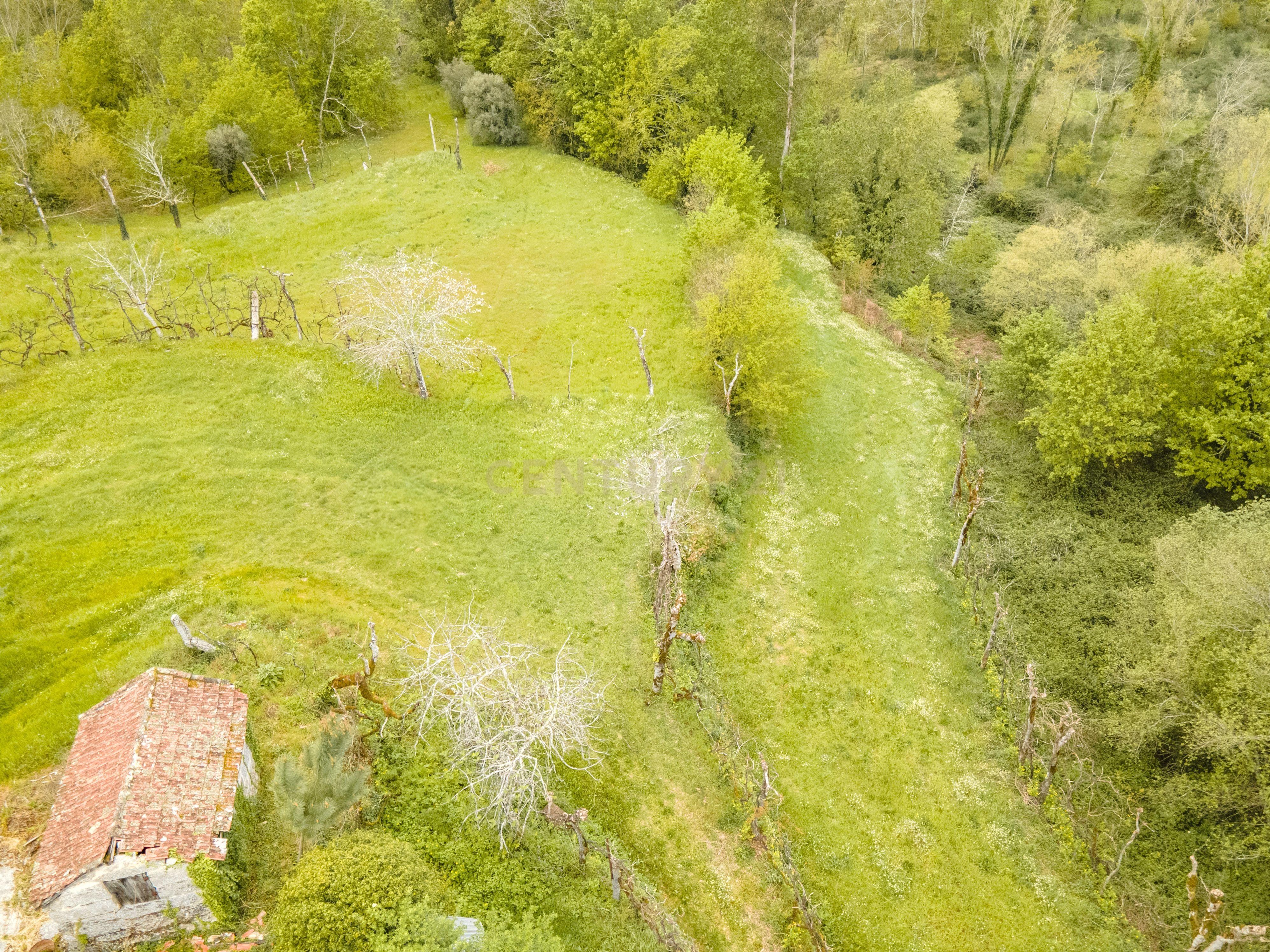 Terreno Rústico com cerca de 6.000 m² na Folhada, Marco de Canaveses - Image 13