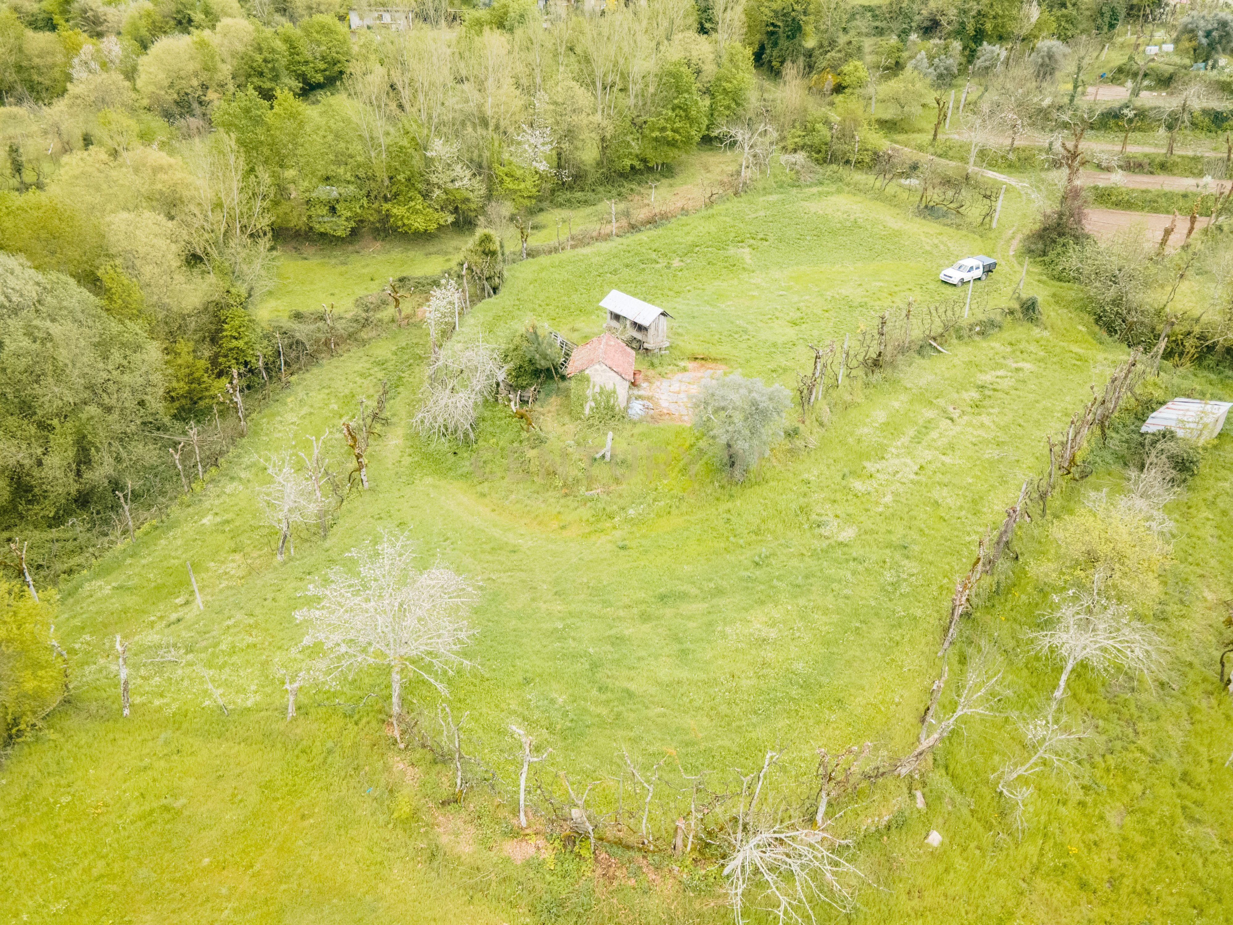 Terreno Rústico com cerca de 6.000 m² na Folhada, Marco de Canaveses - Image 4