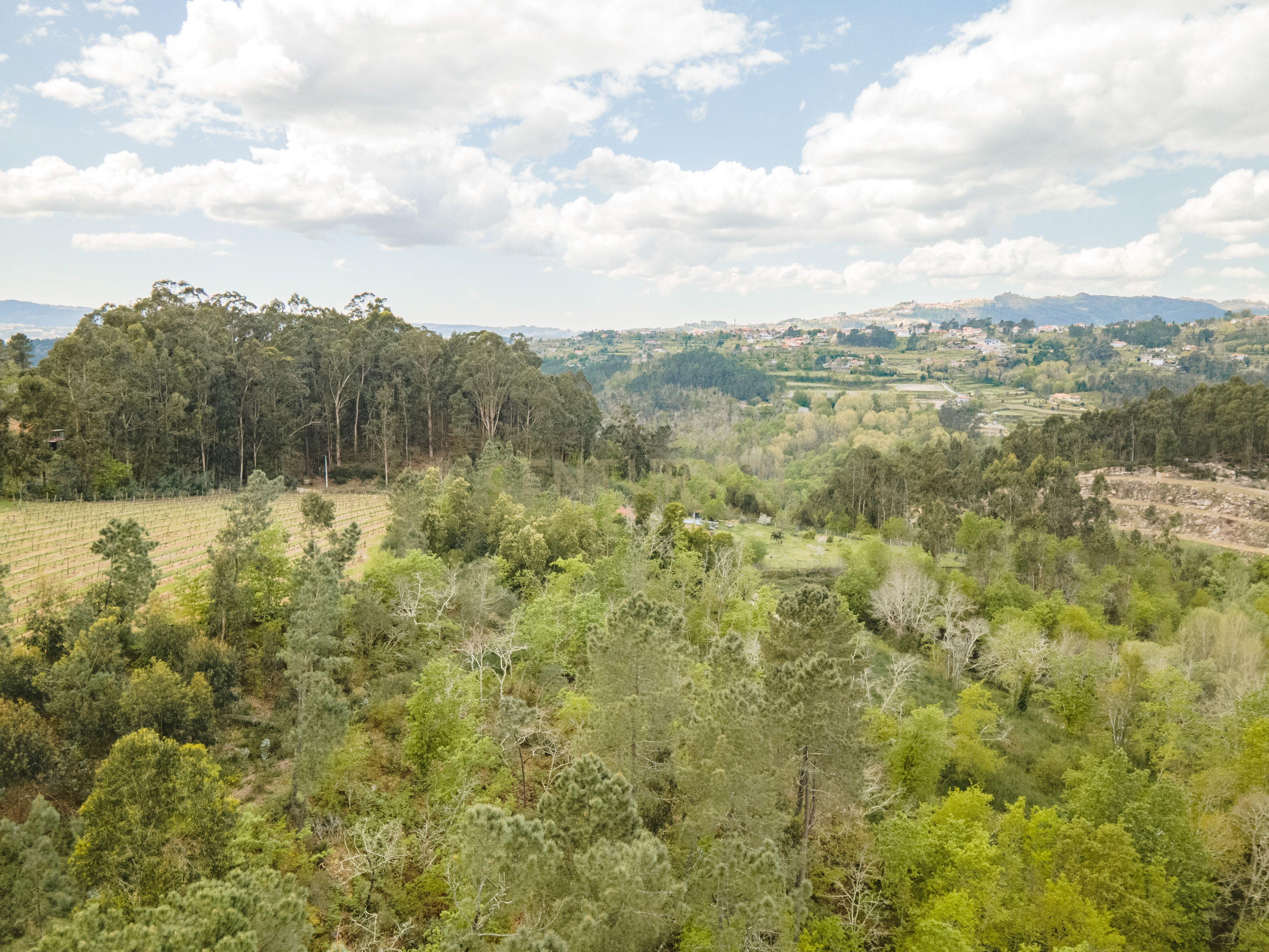 Terreno Rústico com cerca de 6.000 m² na Folhada, Marco de Canaveses - Image 10