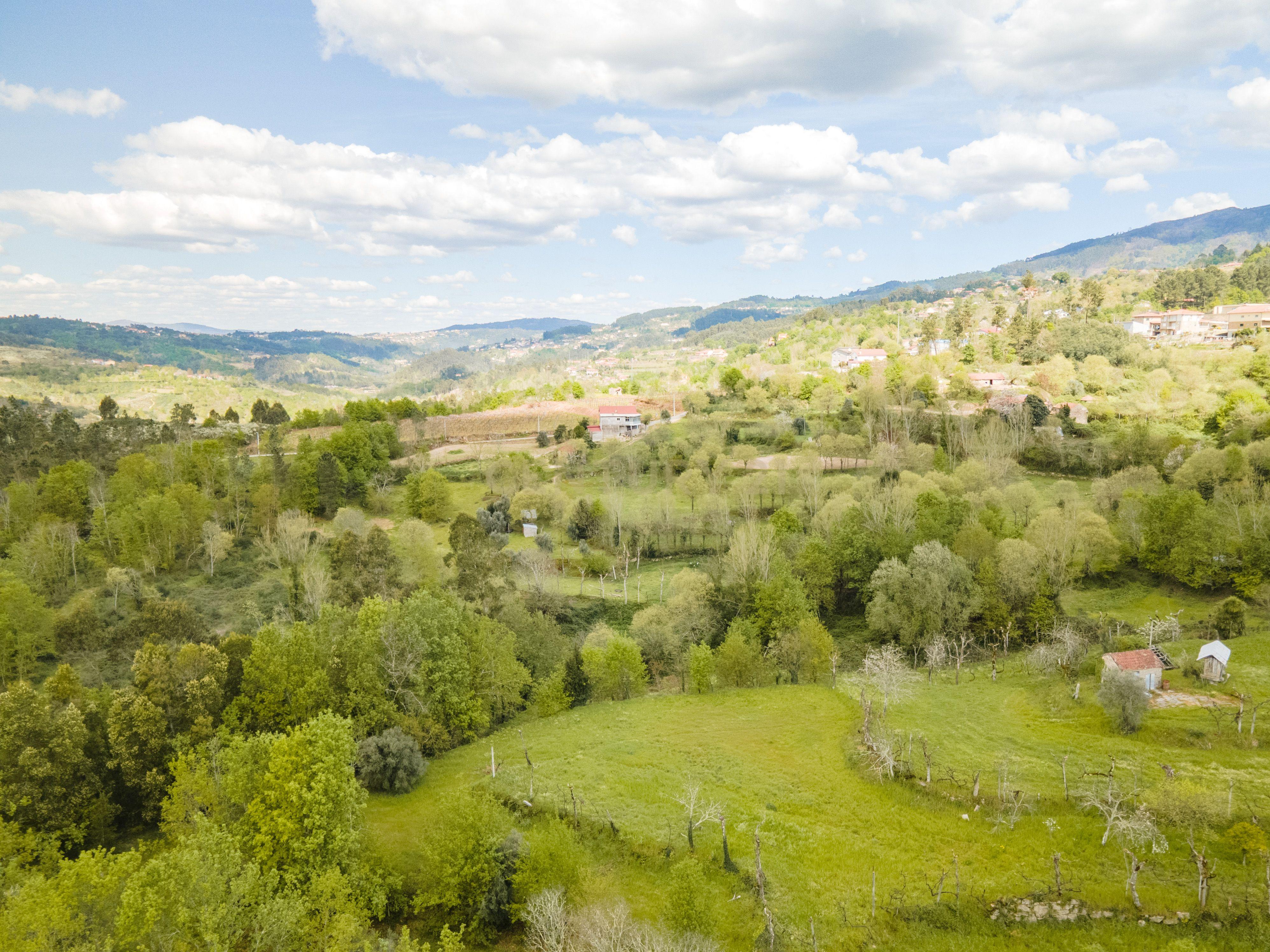 Terreno Rústico com cerca de 6.000 m² na Folhada, Marco de Canaveses - Image 8