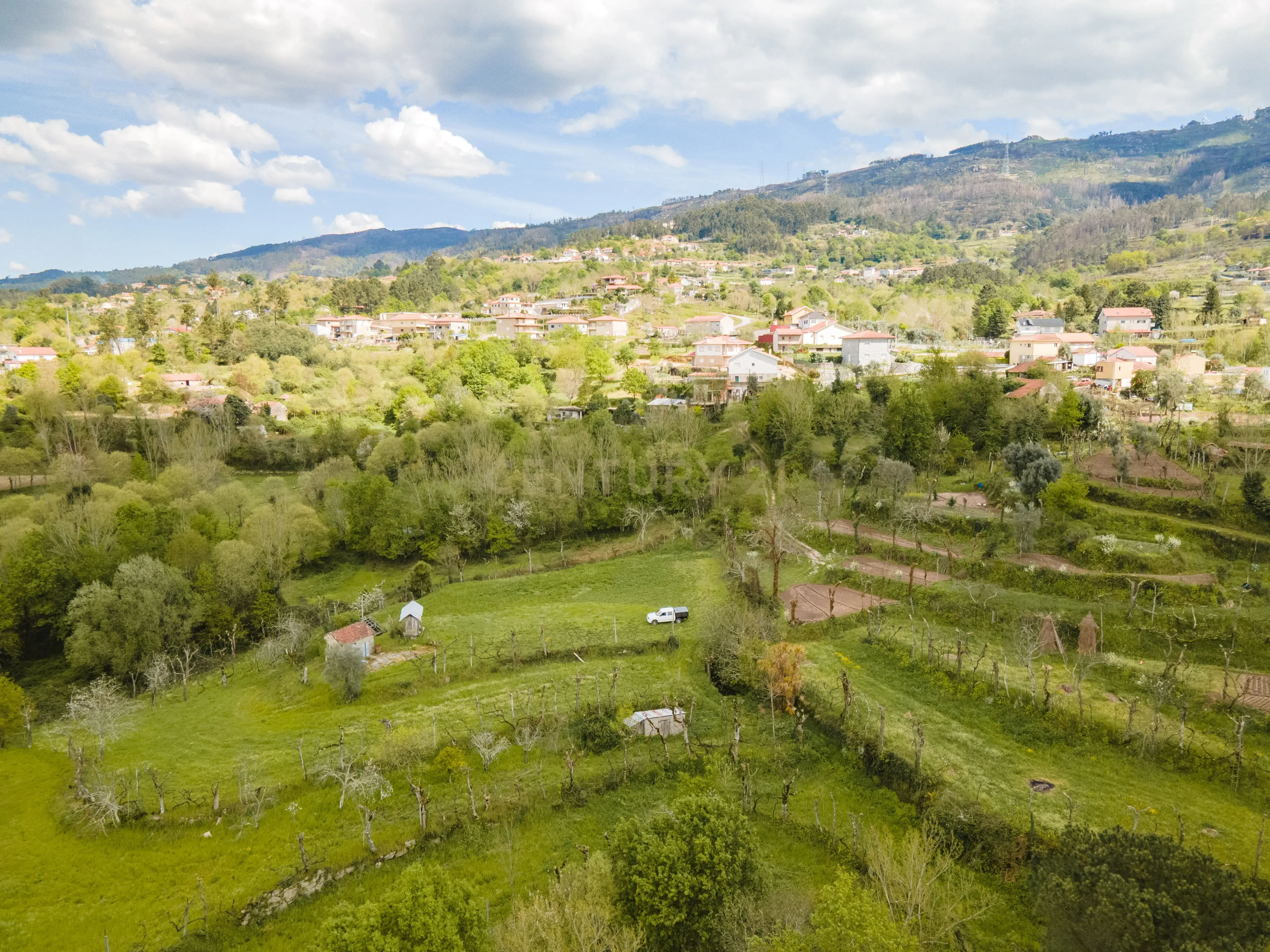 Terreno Rústico com cerca de 6.000 m² na Folhada, Marco de Canaveses - Image 5