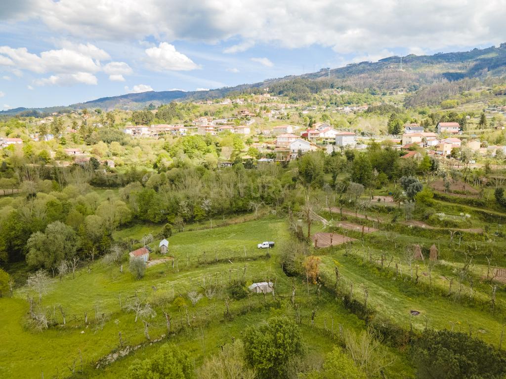 Terreno Rústico com cerca de 6.000 m² na Folhada, Marco de Canaveses - Image 5