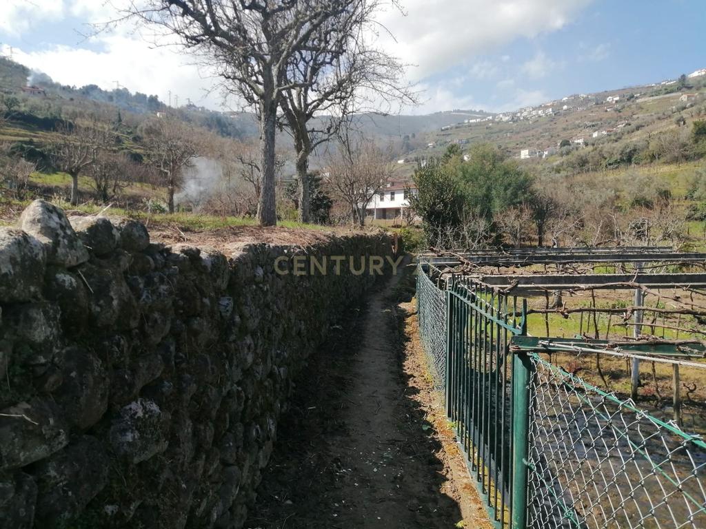 Quinta para Recuperar em Cambres, Lamego com Vista Campestre - Image 3