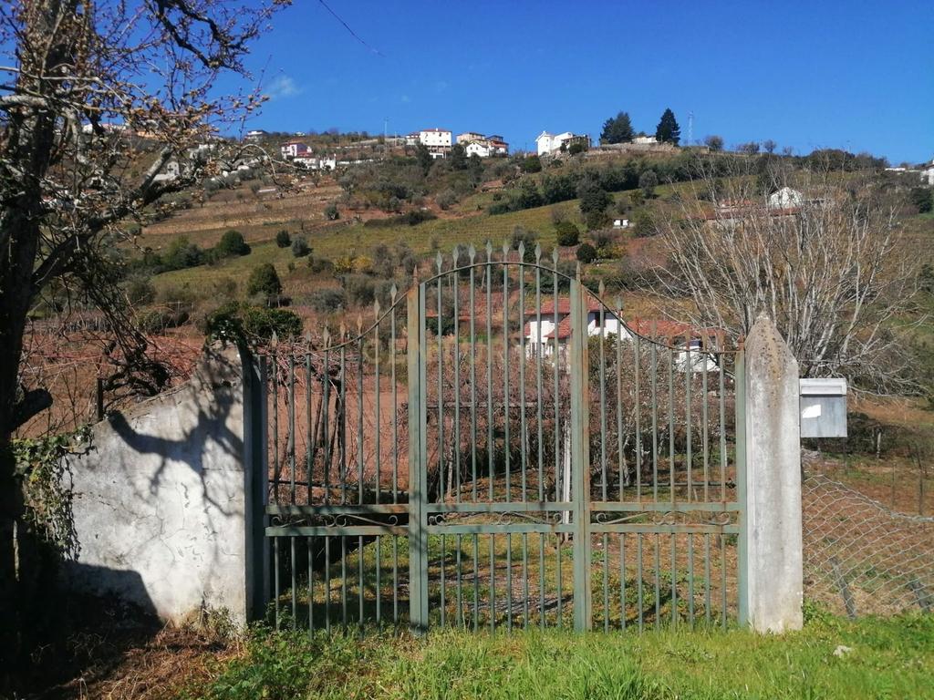 Quinta para Recuperar em Cambres, Lamego com Vista Campestre - Image 4
