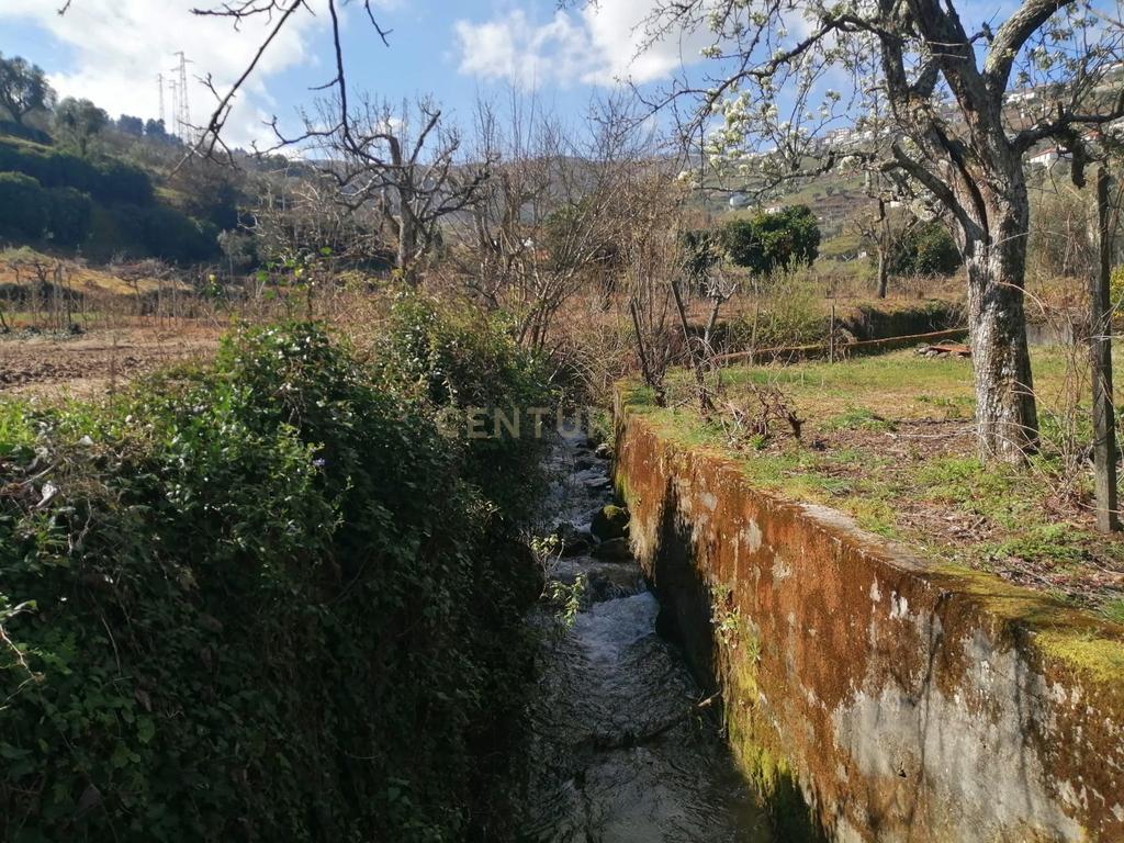 Quinta para Recuperar em Cambres, Lamego com Vista Campestre - Image 5