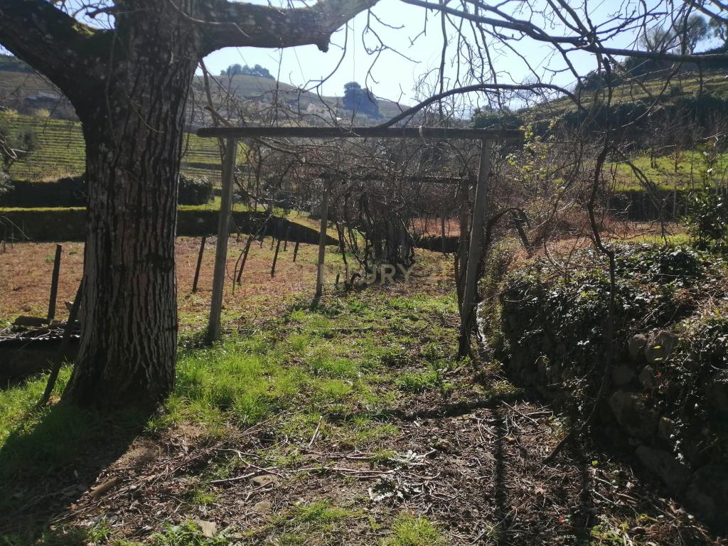 Quinta para Recuperar em Cambres, Lamego com Vista Campestre - Image 8