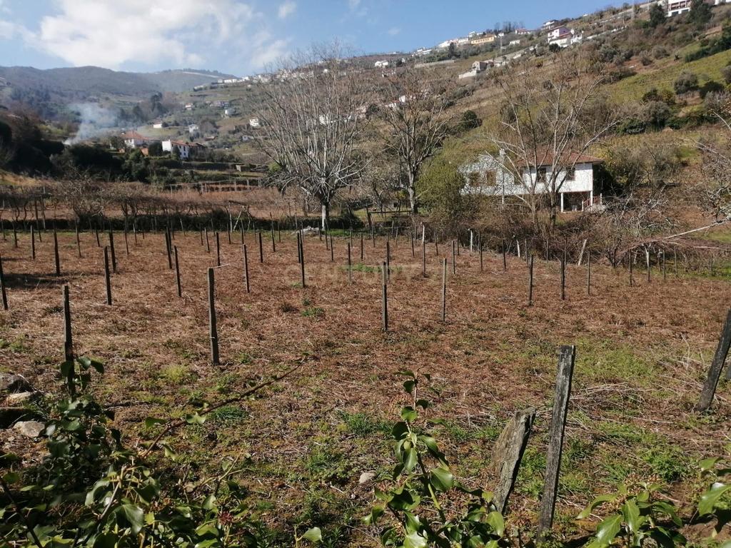 Quinta para Recuperar em Cambres, Lamego com Vista Campestre - Image 7