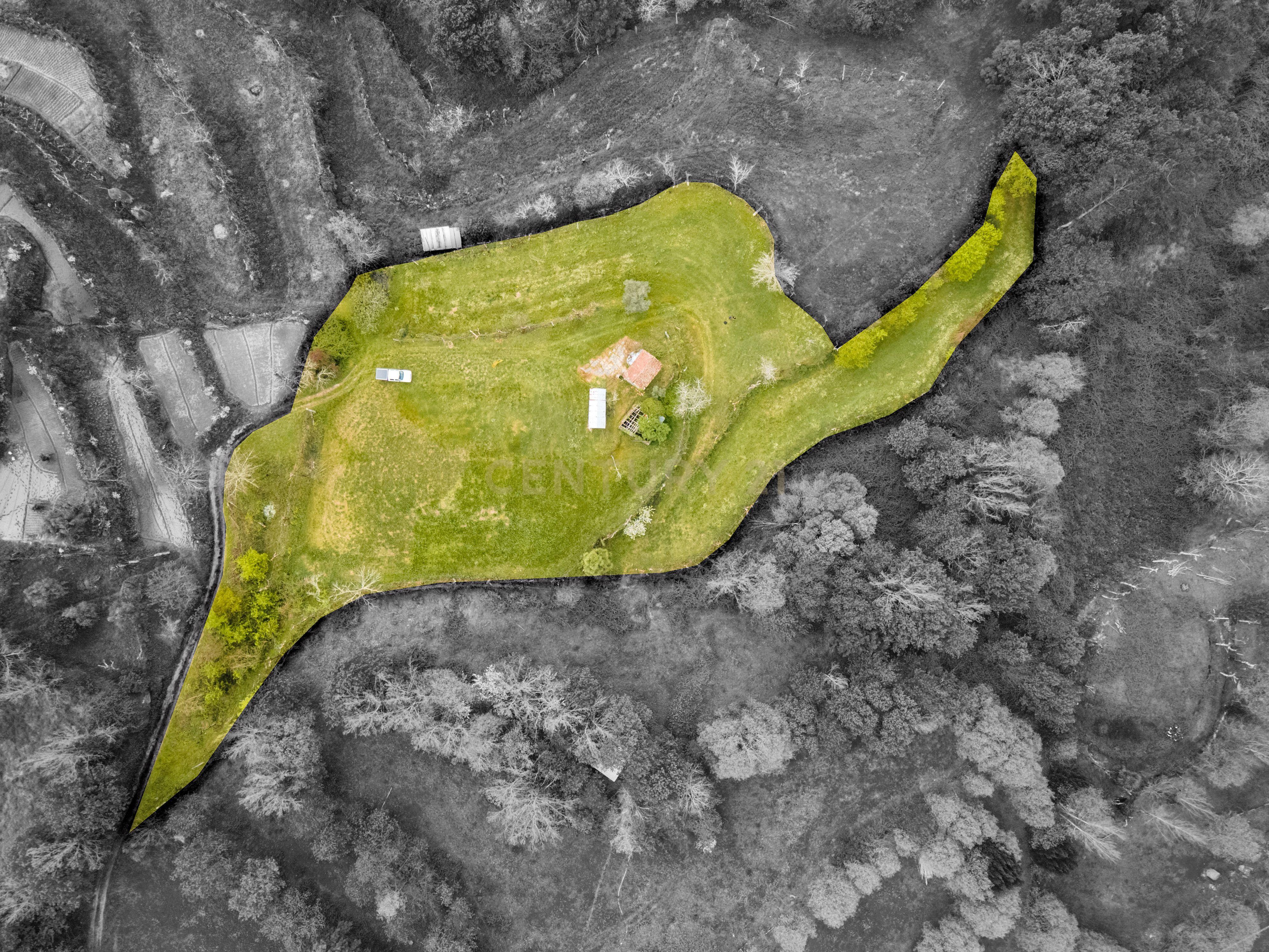 Terreno Rústico com cerca de 6.000 m² na Folhada, Marco de Canaveses - Image 6