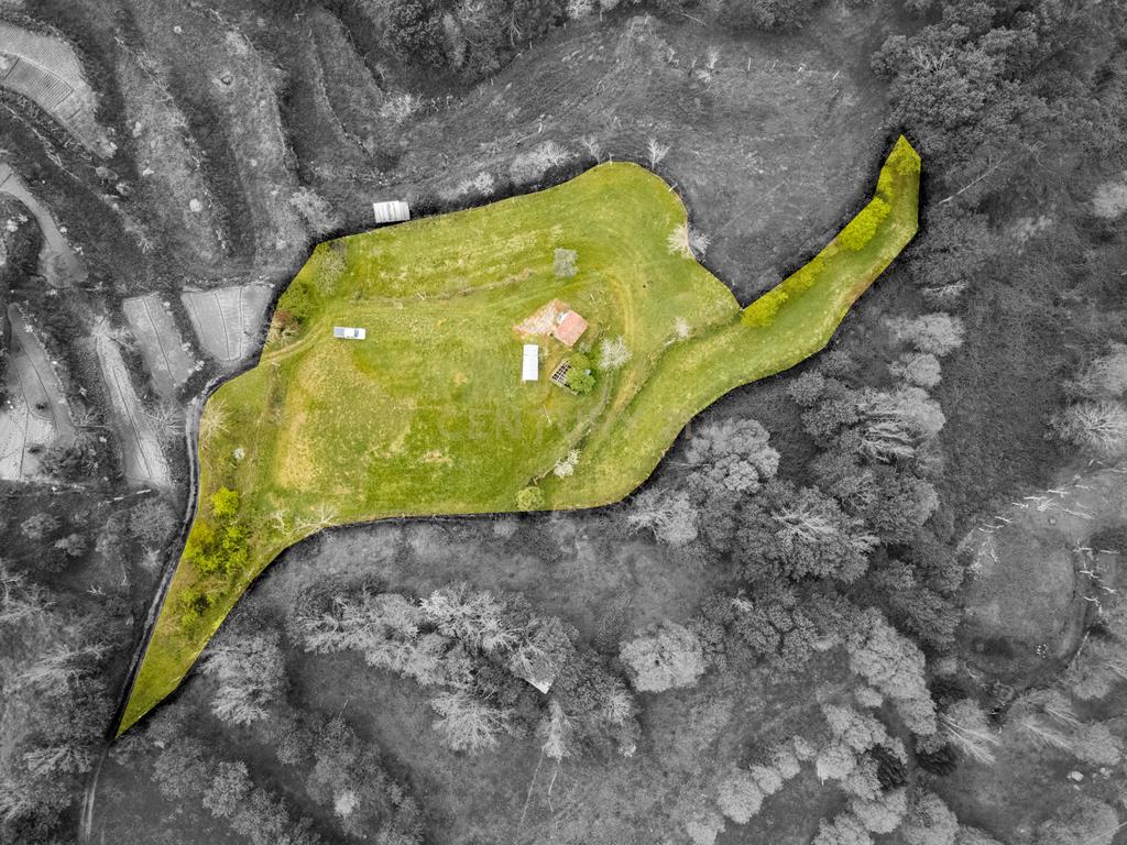 Terreno Rústico com cerca de 6.000 m² na Folhada, Marco de Canaveses - Image 6