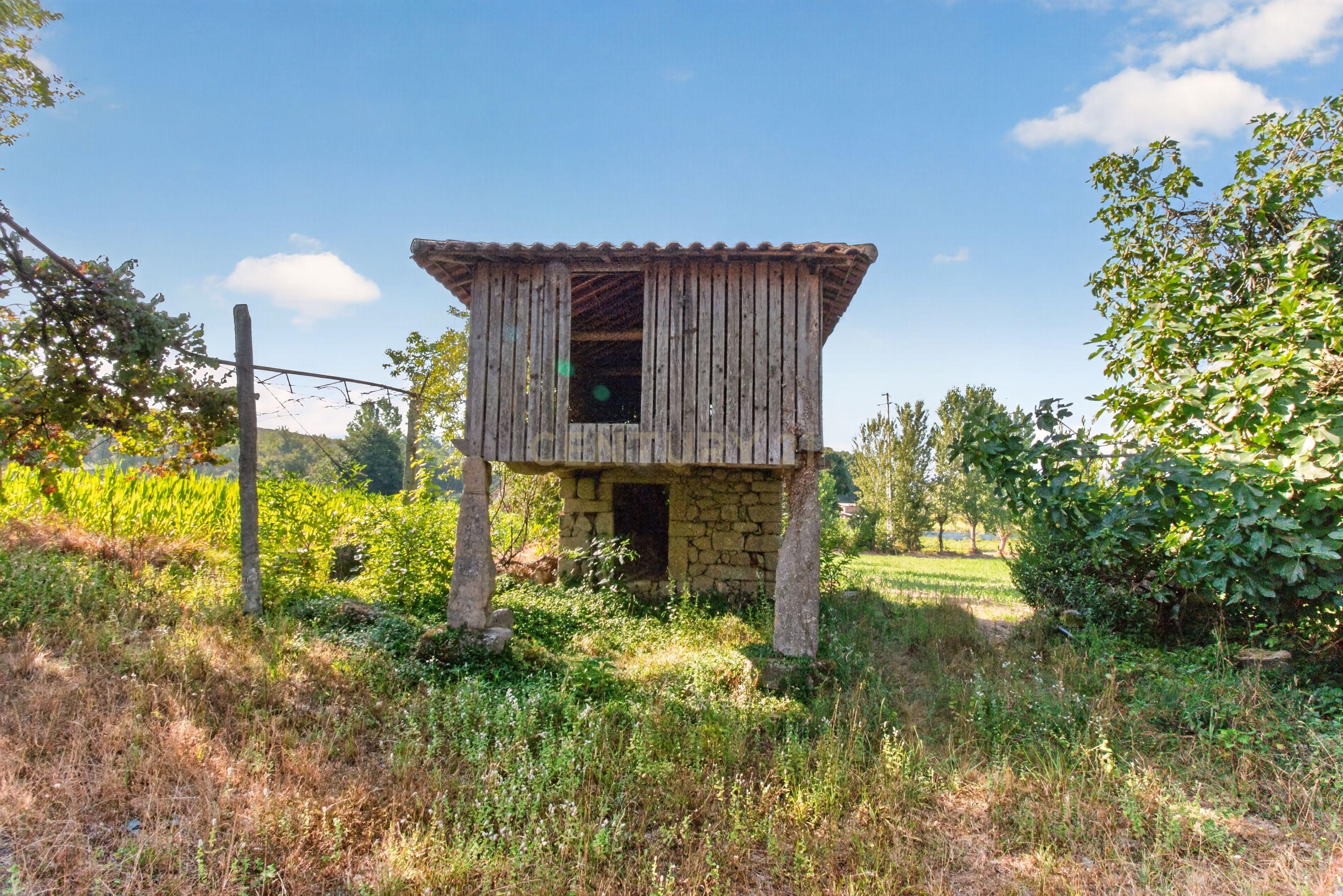 Fotografia 4 de Quinta de Verim – 22.000 m² de história, natureza e potencial