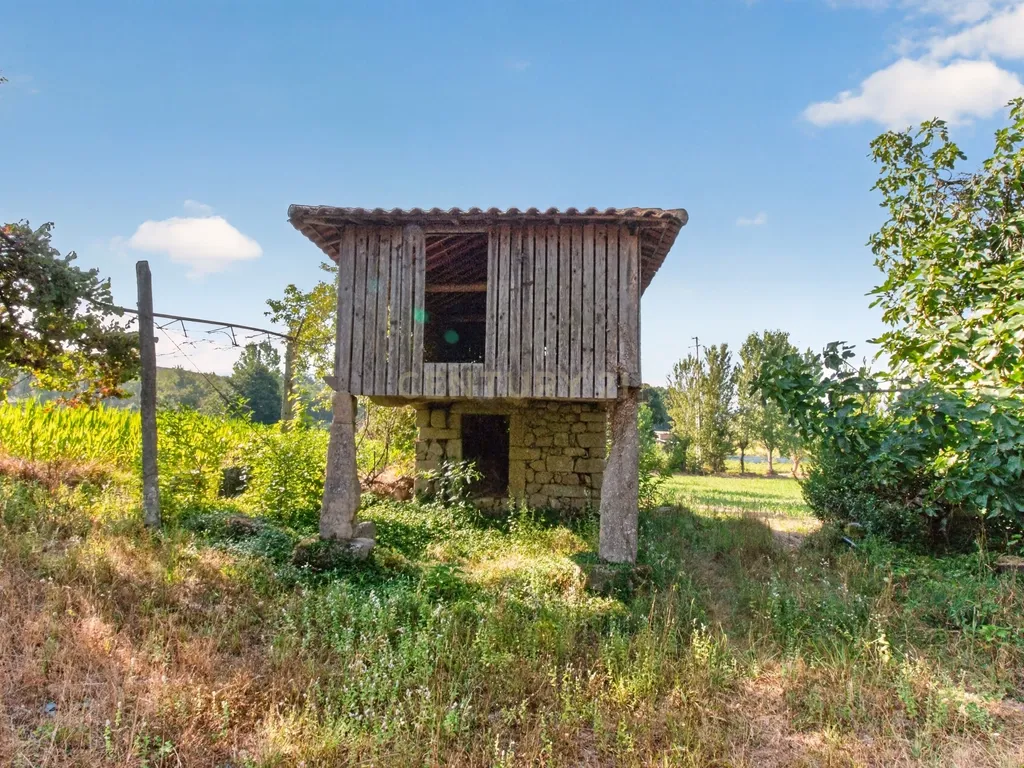 Quinta de Verim – 22.000 m² de história, natureza e potencial - Image 4