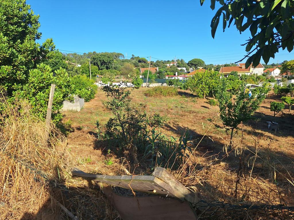 Moradia T3 com 99 m² e terreno de 4.179 m² em Covas de Coina - Image 24