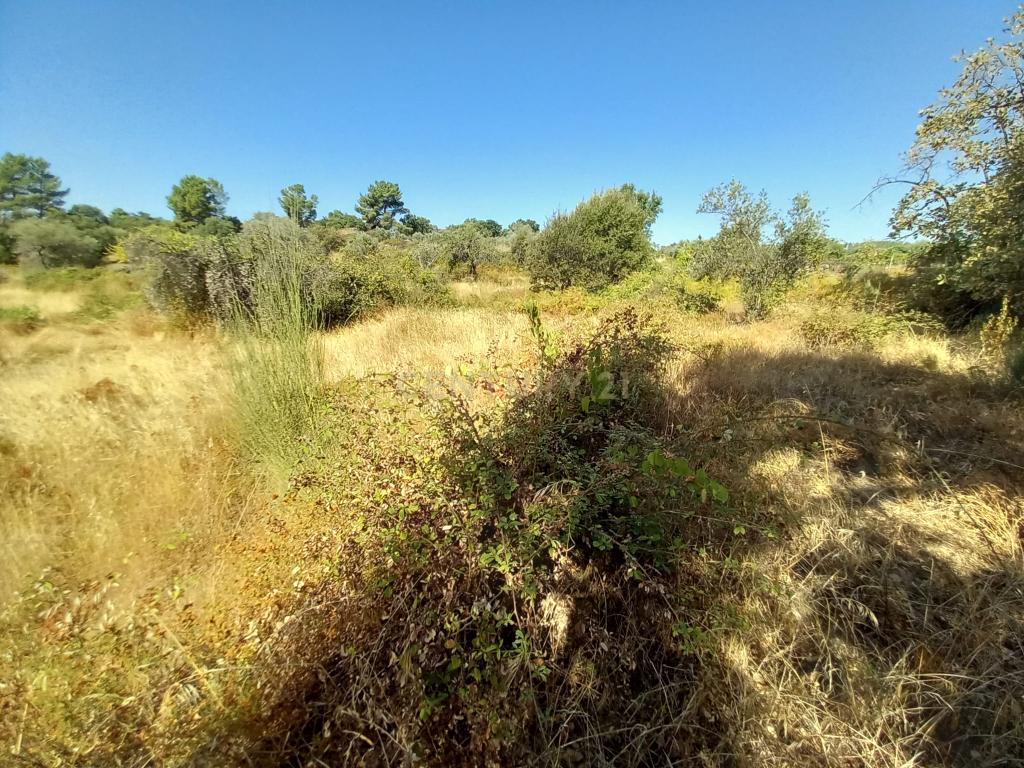 Terreno com 2180m2 , São Vicente da Beira, Castelo Branco - Image 1