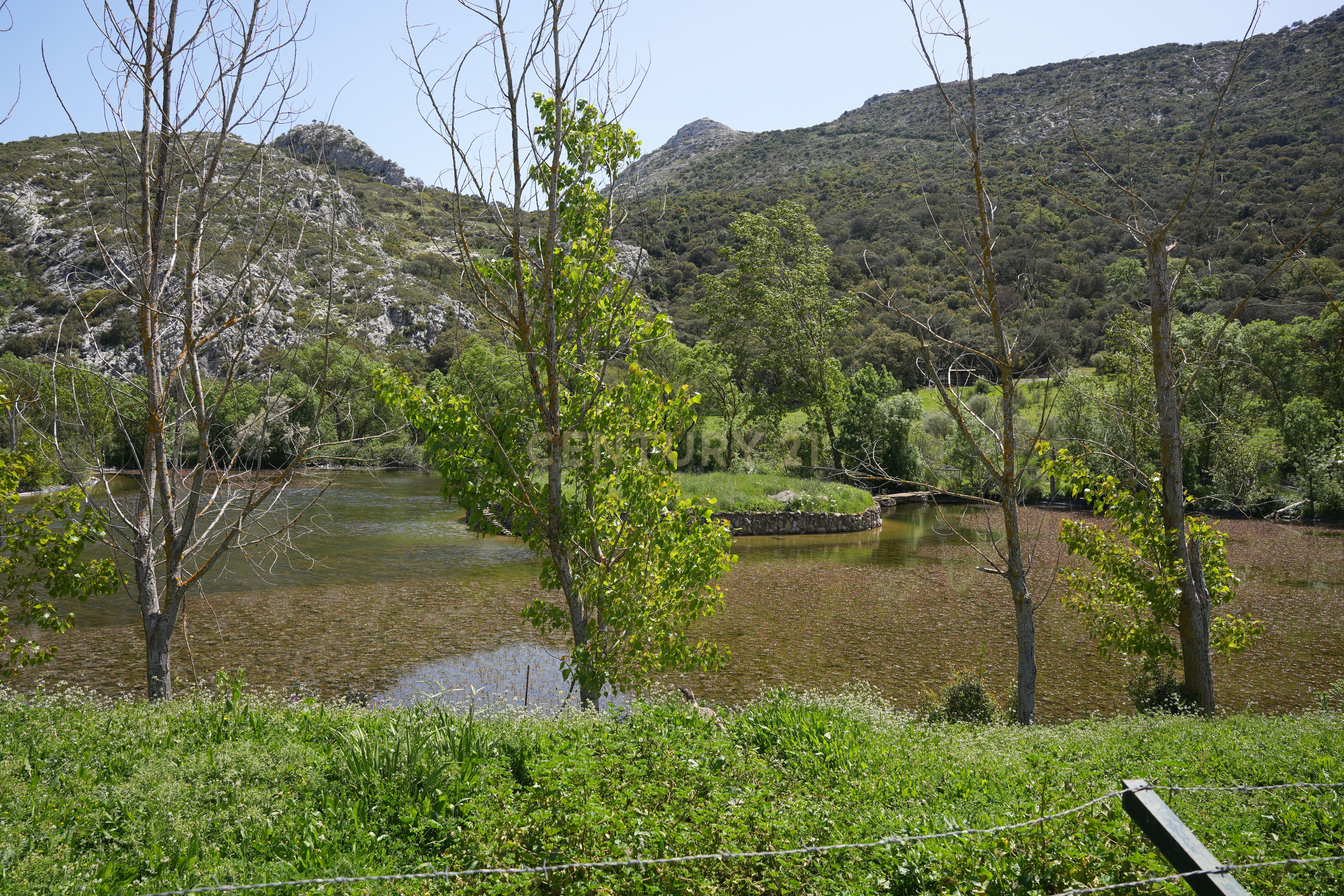 VENDA DE PROPRIEDADE RÚSTICA EM ANTEQUERA COM EXPLORAÇÃO DE AGROTURISMO - Image 61