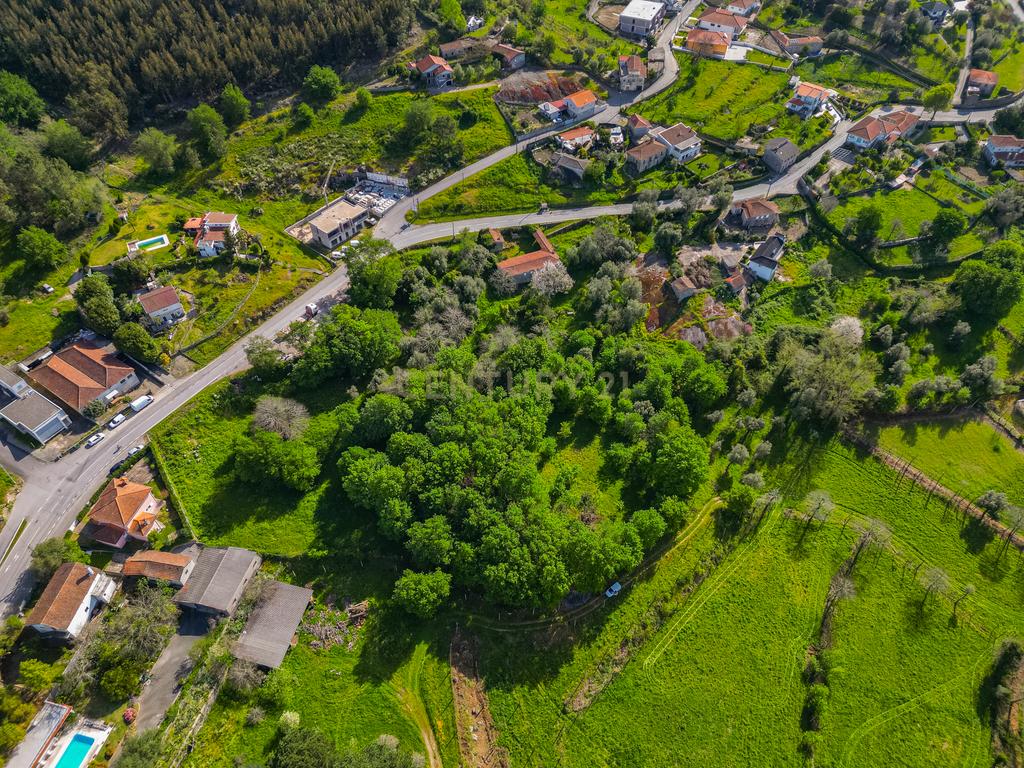 🌿 Quinta Rústica com 15.075 m² | Para Recuperar | Póvoa de Lanhoso, Braga - Image 13