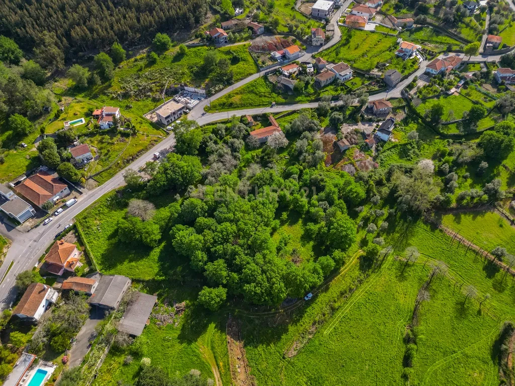 🌿 Quinta Rústica com 15.075 m² | Para Recuperar | Póvoa de Lanhoso, Braga - Image 13